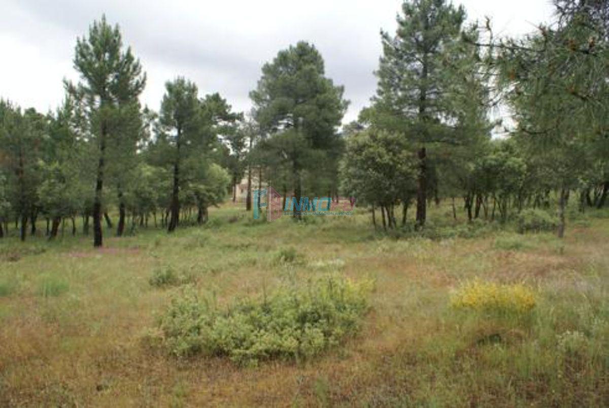 For sale of land in Marugán