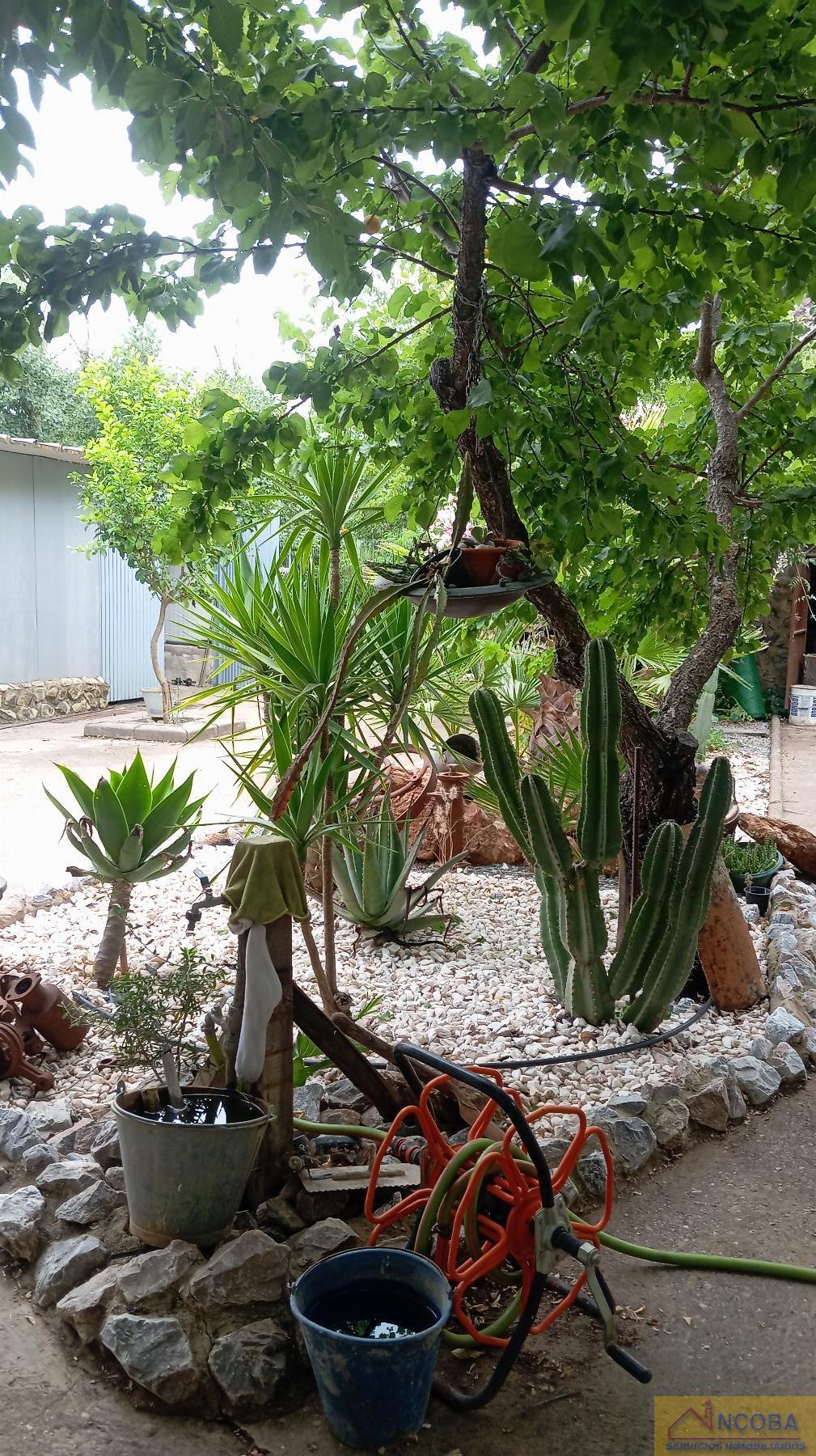Venta de finca rústica en Zafra
