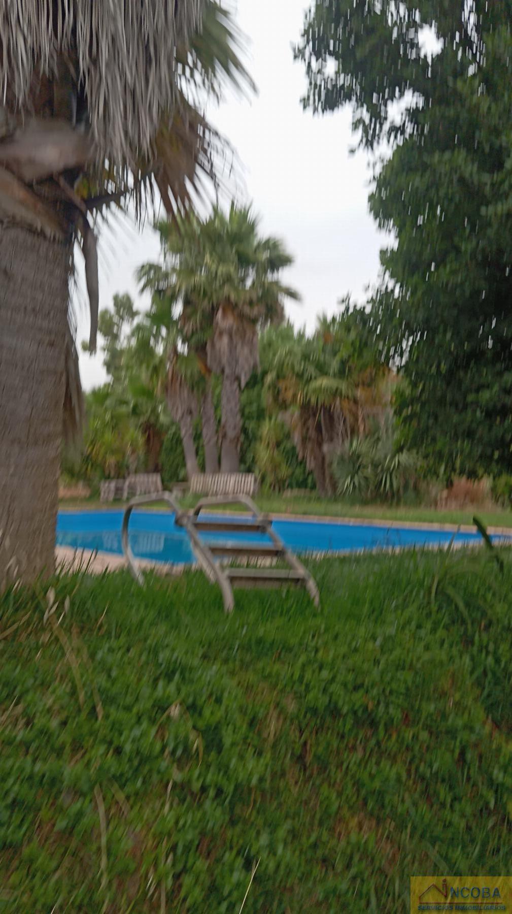 Venta de finca rústica en Zafra