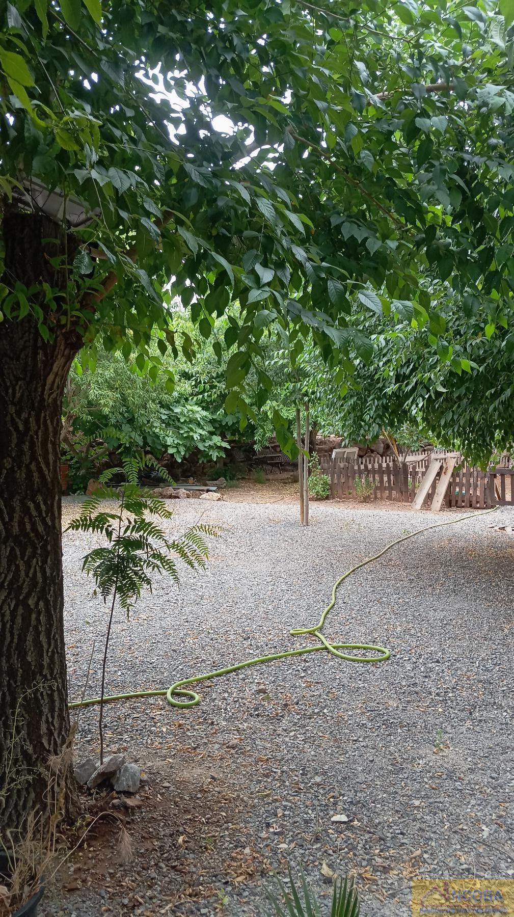 Venta de finca rústica en Zafra
