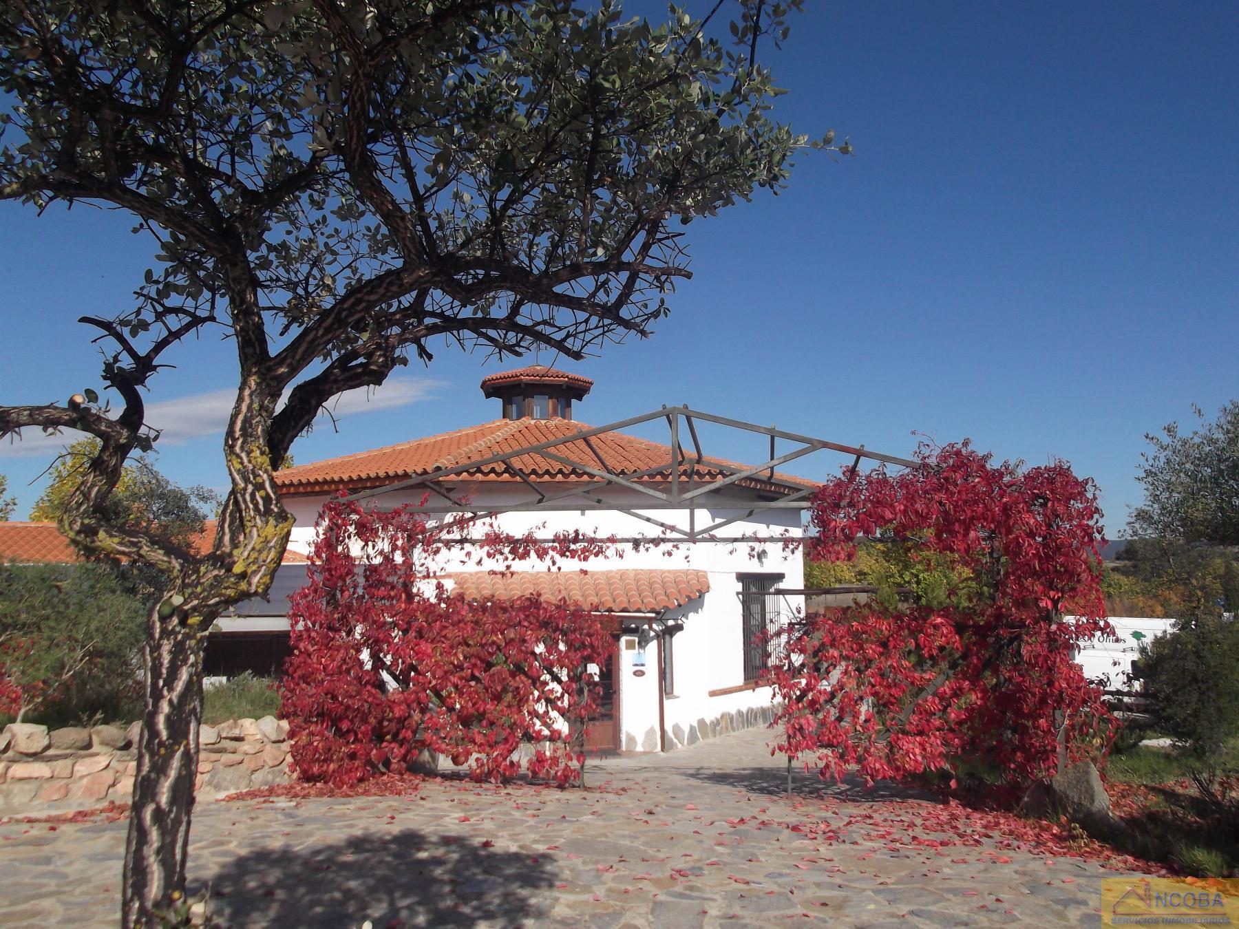 Venta de hotel en Zafra