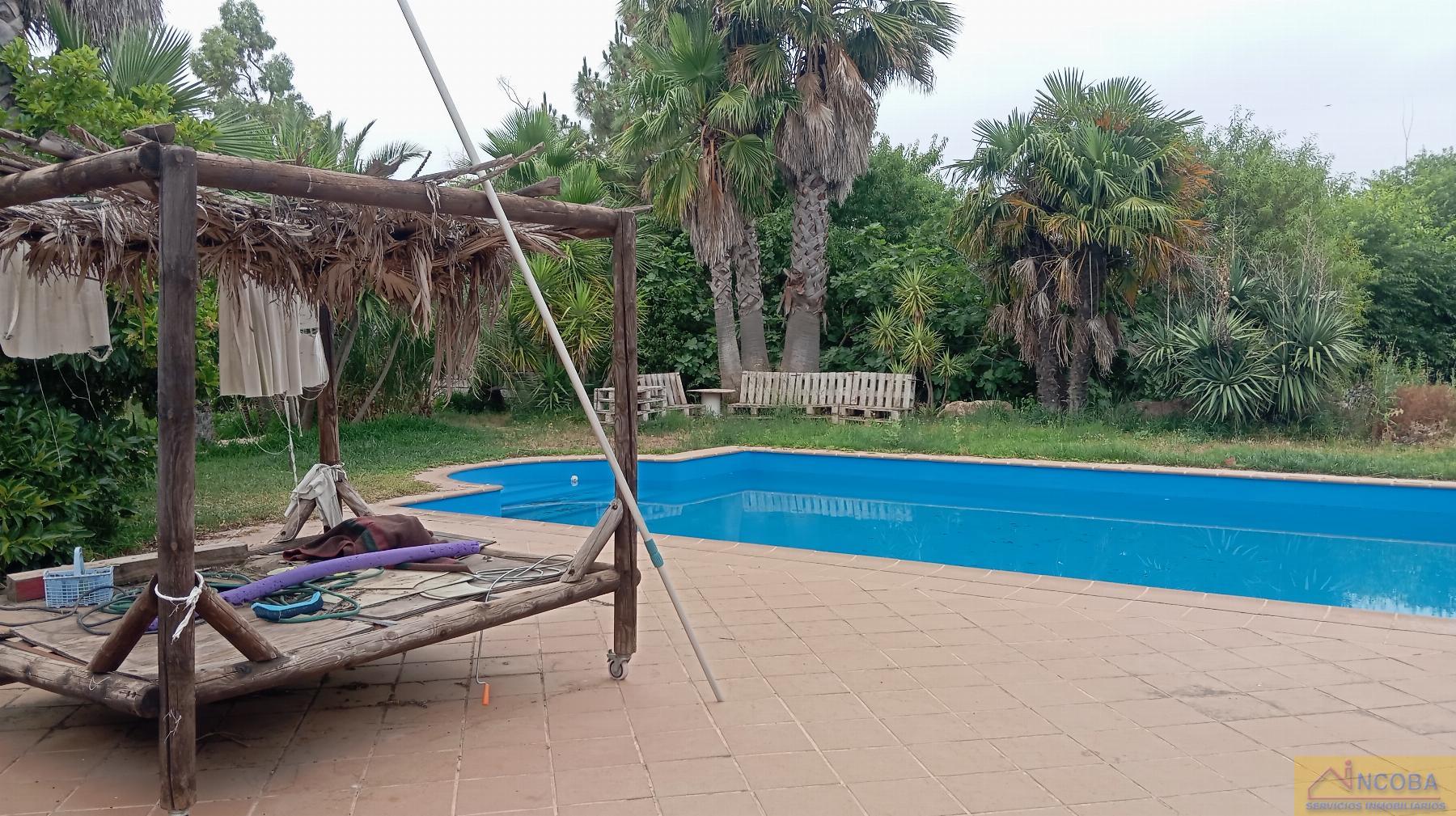 Venta de finca rústica en Zafra