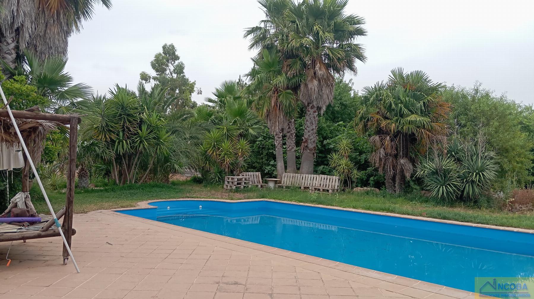 Venta de finca rústica en Zafra