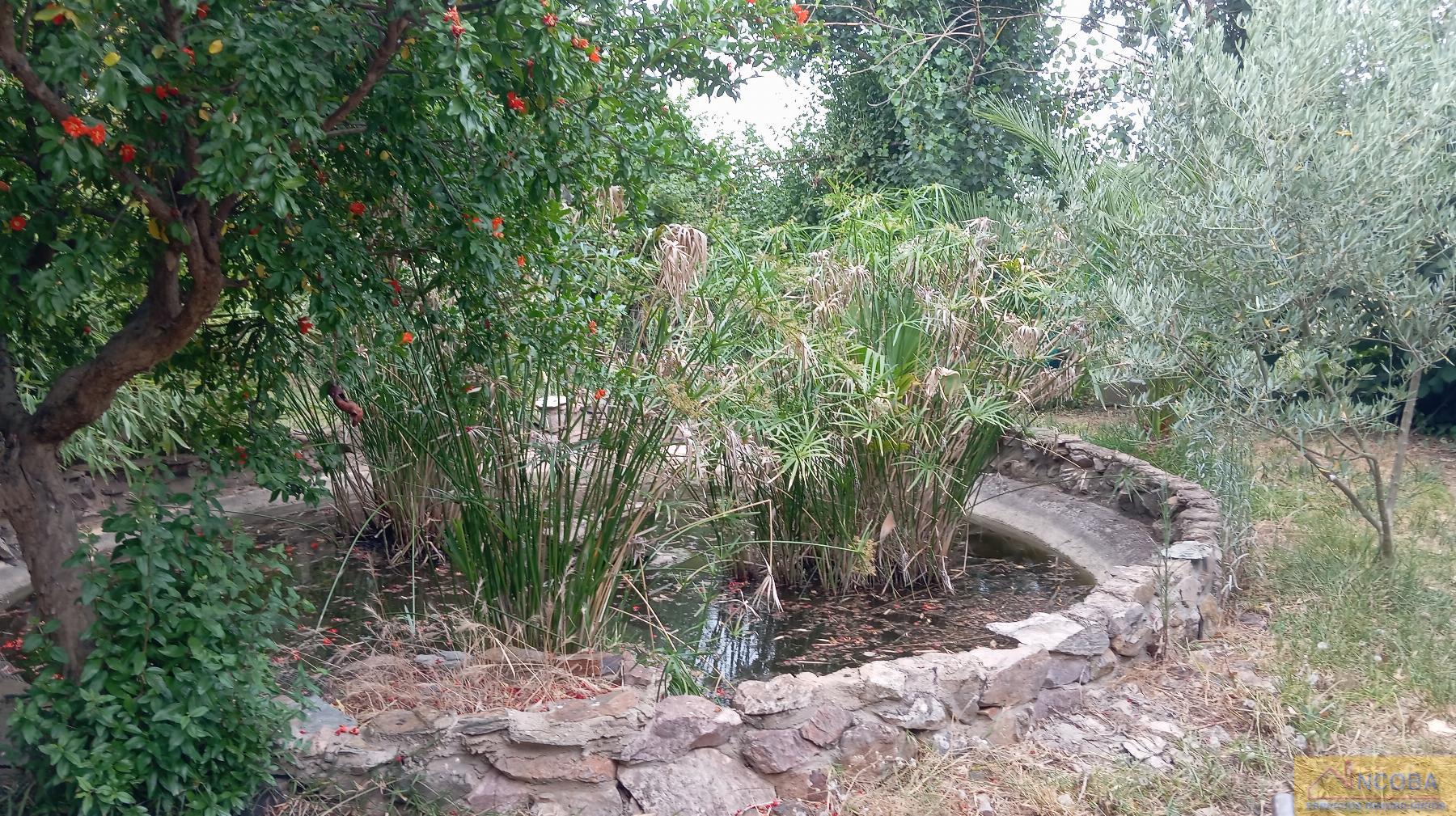 Venta de finca rústica en Zafra