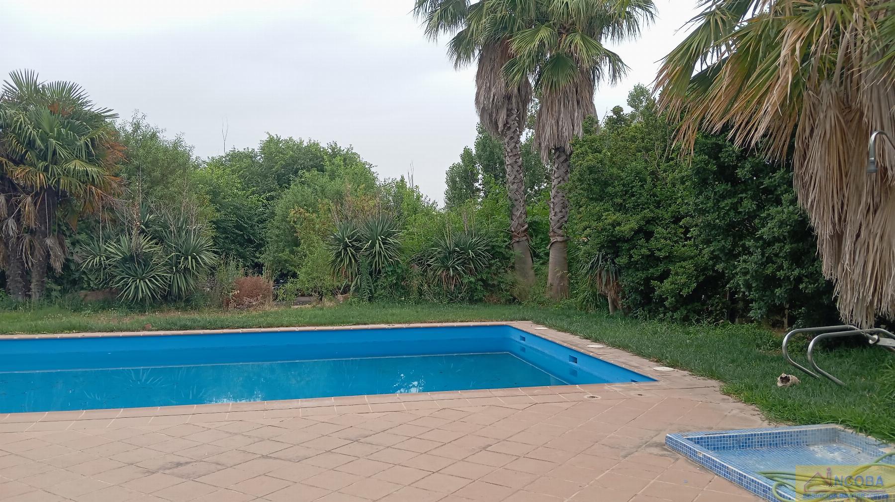Venta de finca rústica en Zafra