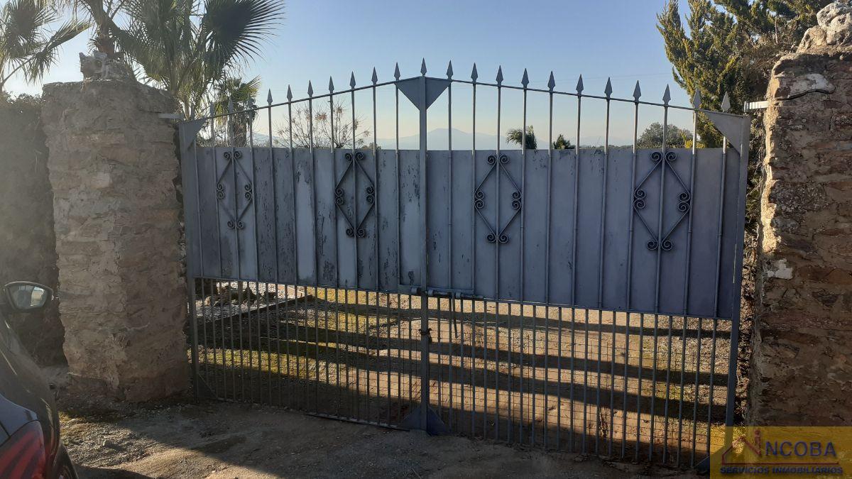 Venta de finca rústica en Zafra