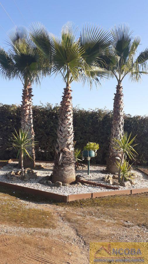 Venta de finca rústica en Zafra