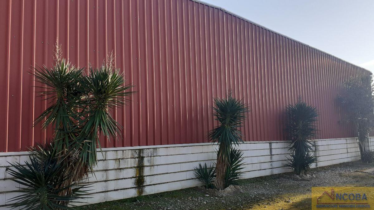 Venta de finca rústica en Zafra