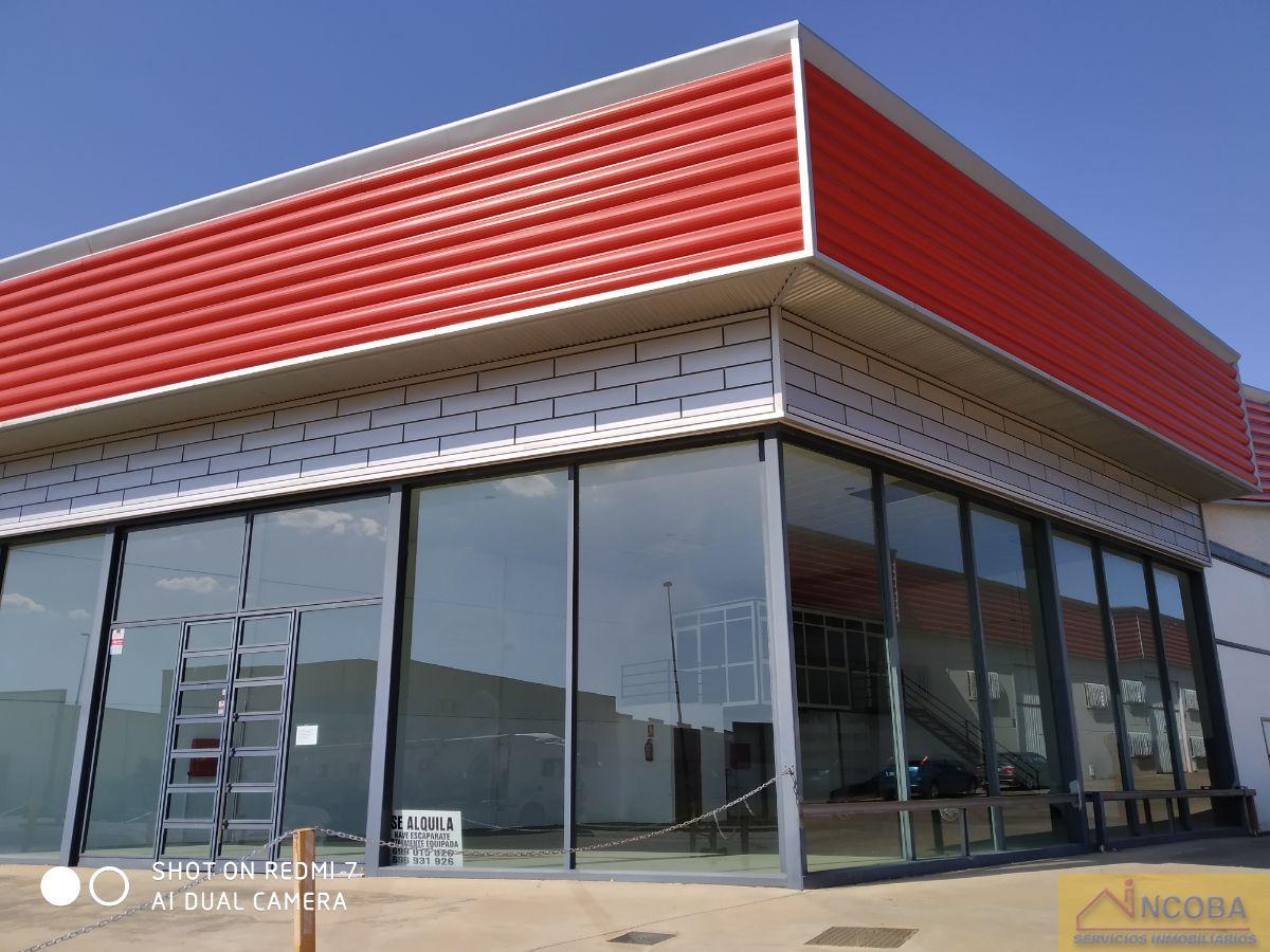 For rent of industrial plant/warehouse in Zafra