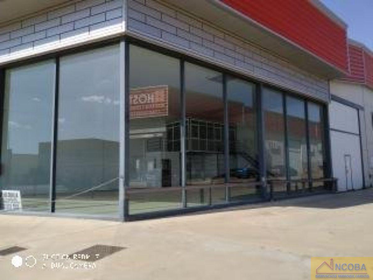 For rent of industrial plant/warehouse in Zafra