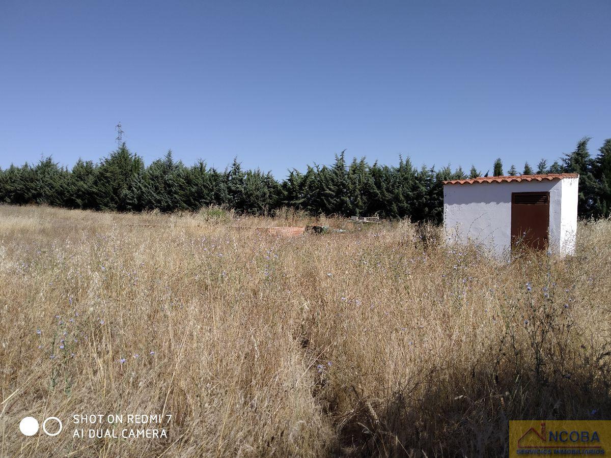 Venta de terreno en Zafra