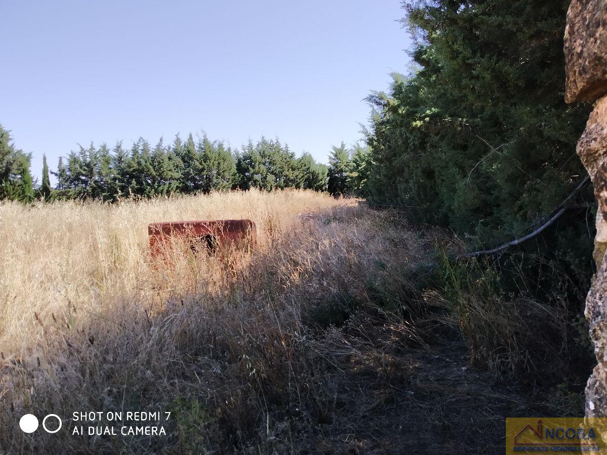 Venta de terreno en Zafra