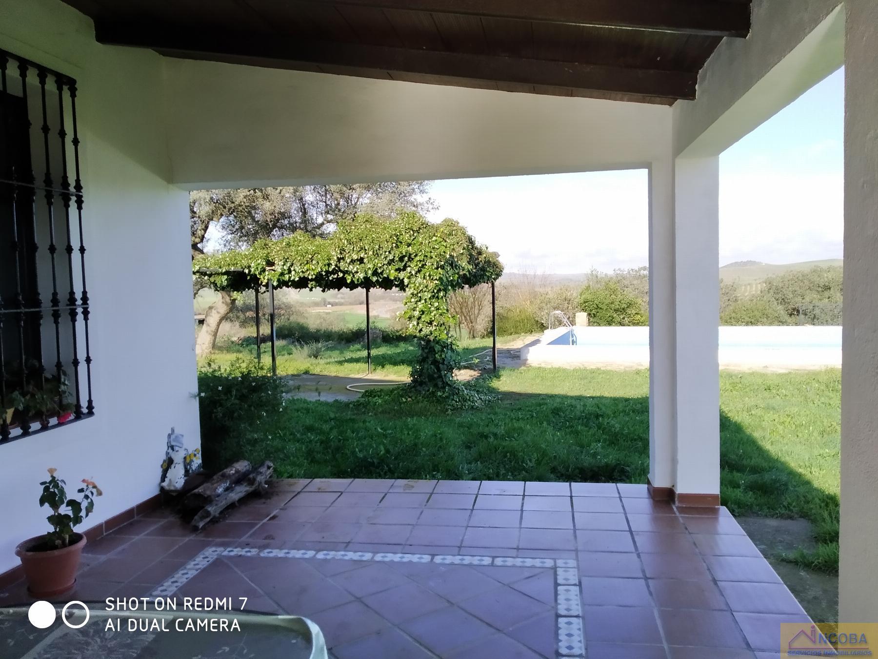 Venta de finca rústica en Zafra