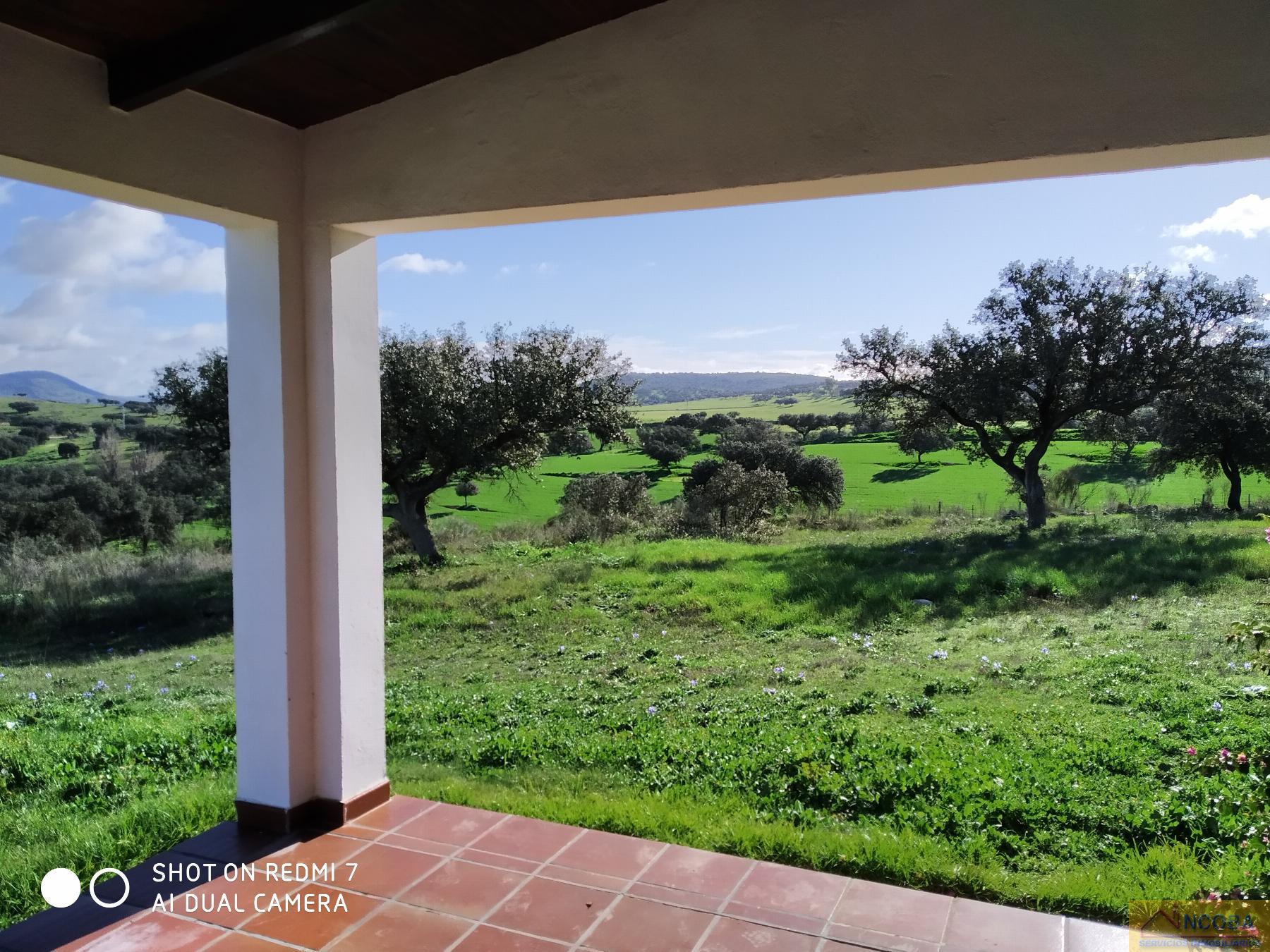 Venta de finca rústica en Zafra