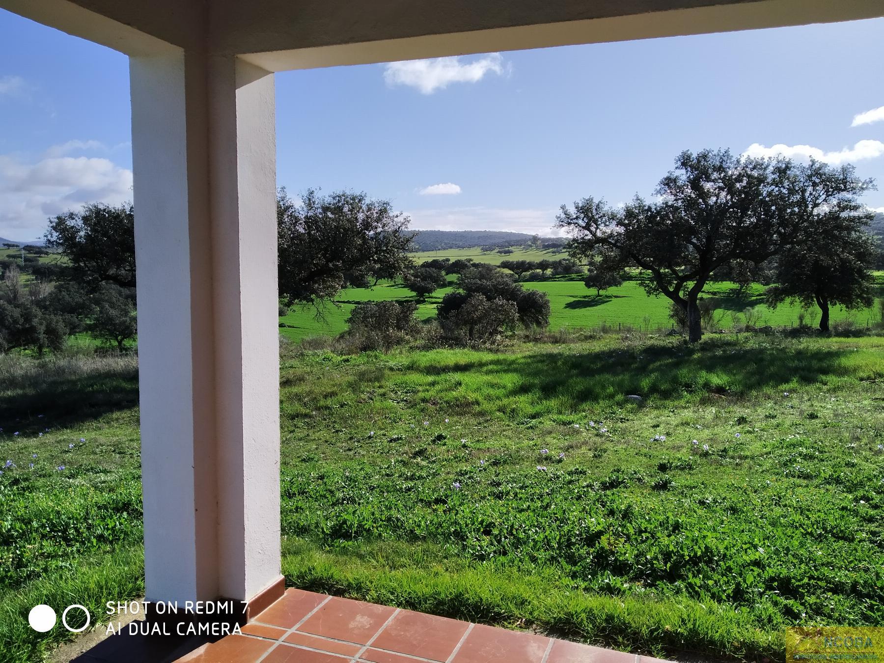 Venta de finca rústica en Zafra
