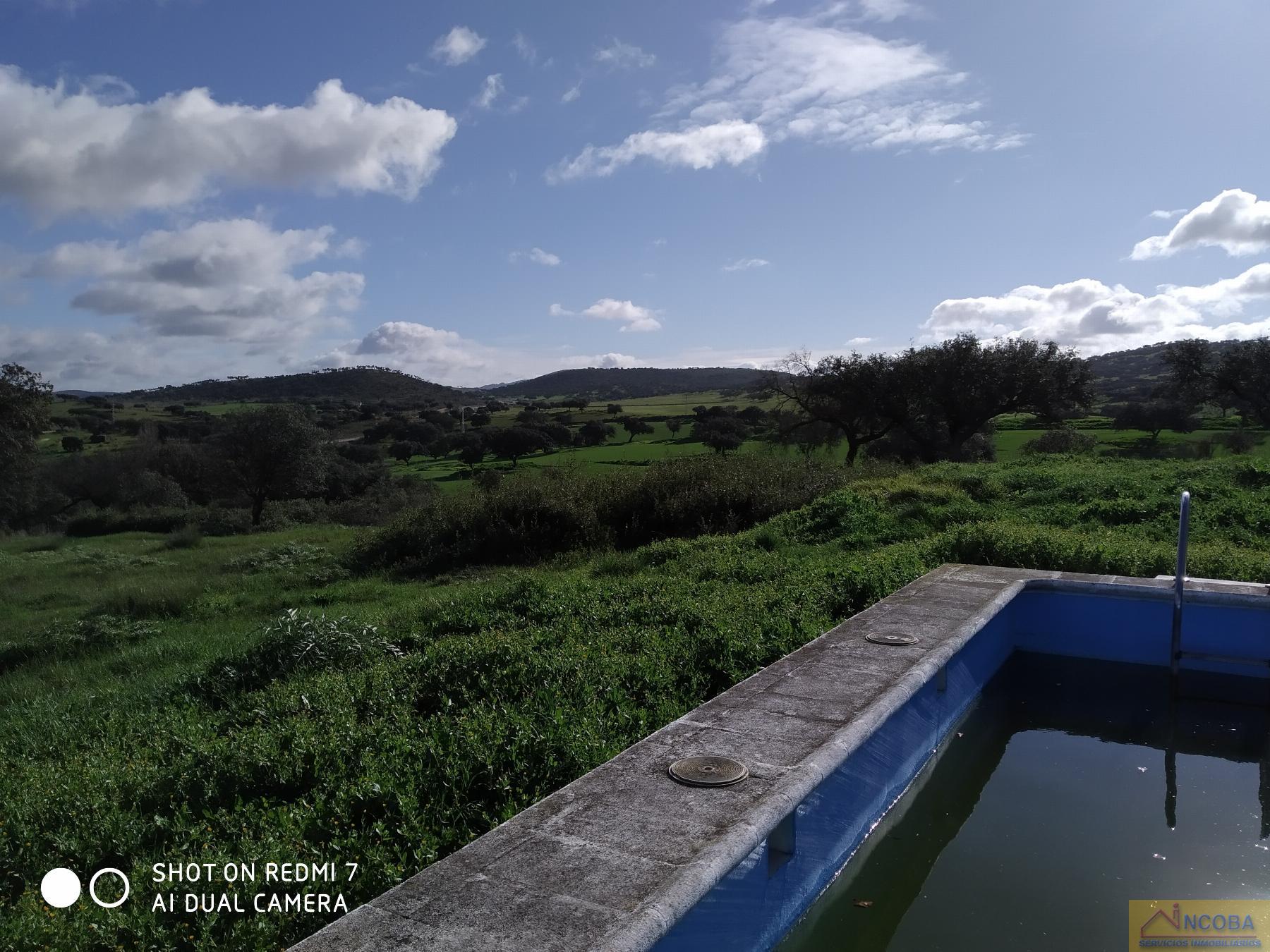 Venta de finca rústica en Zafra