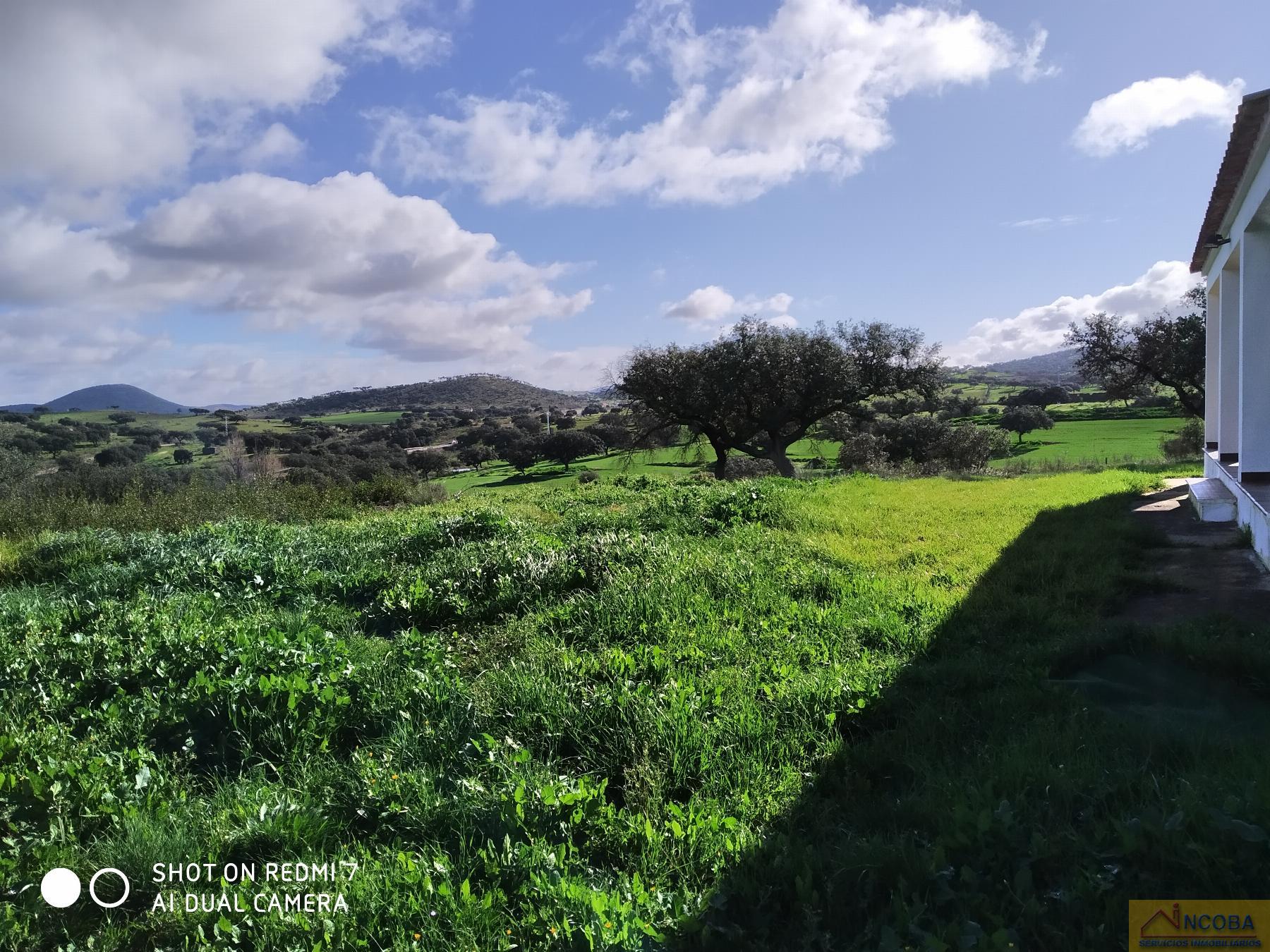 Venta de finca rústica en Zafra