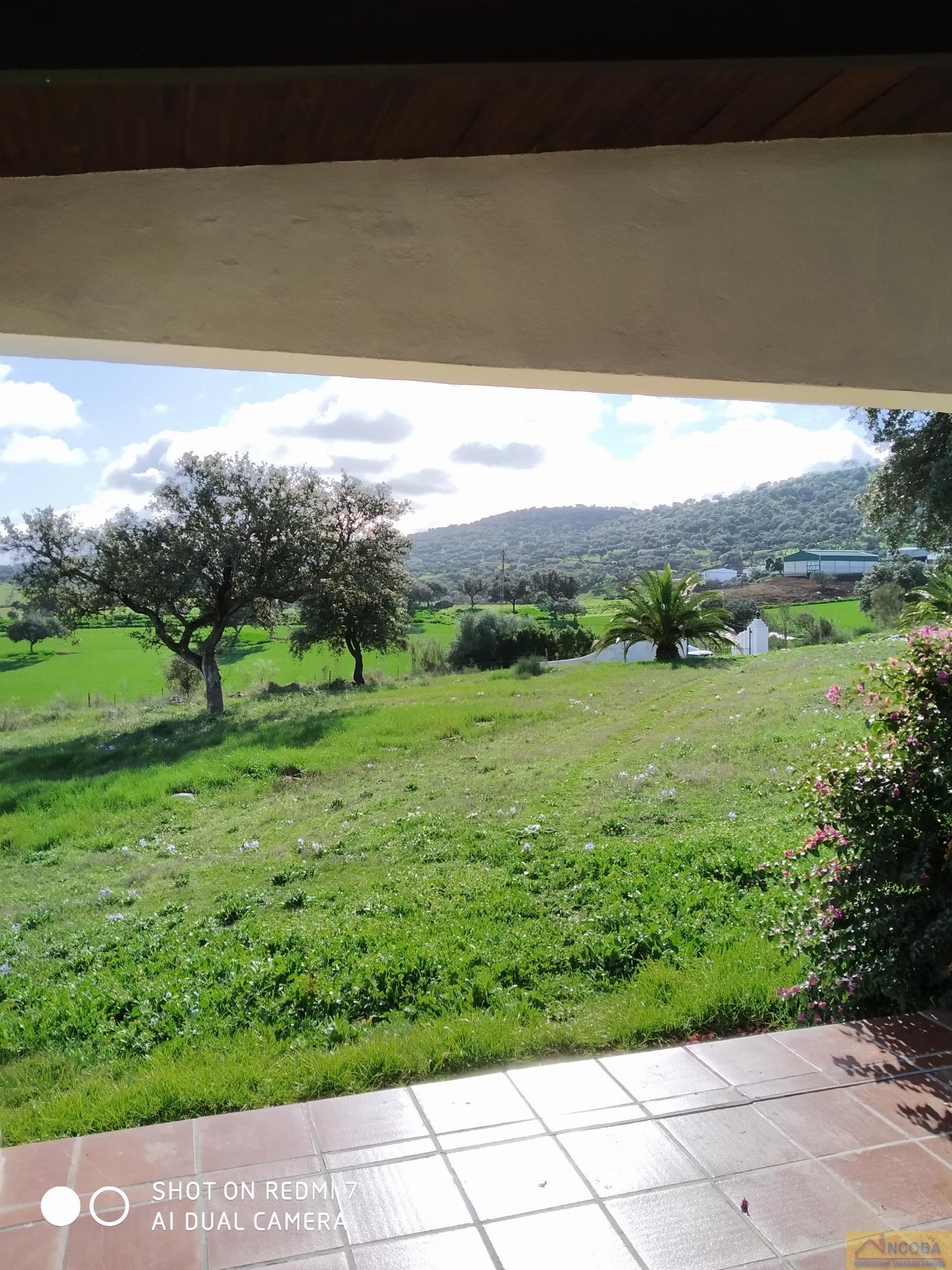 Venta de finca rústica en Zafra