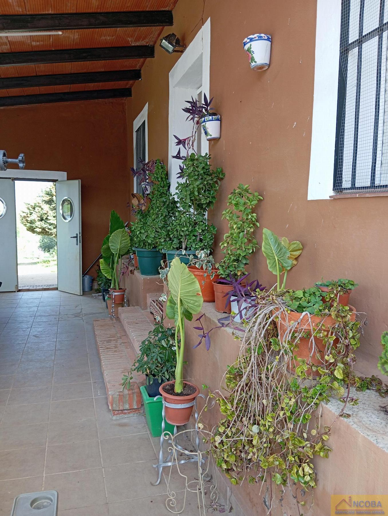 Venta de chalet en Zafra