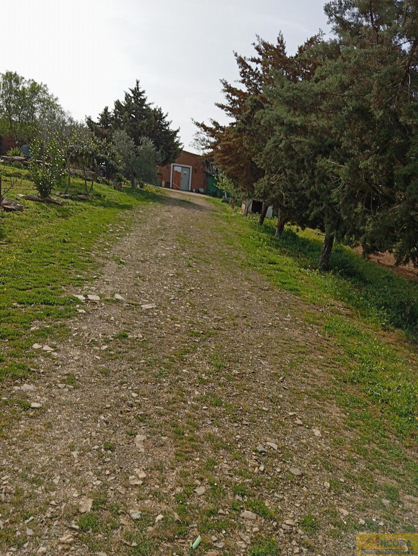 Venta de chalet en Zafra