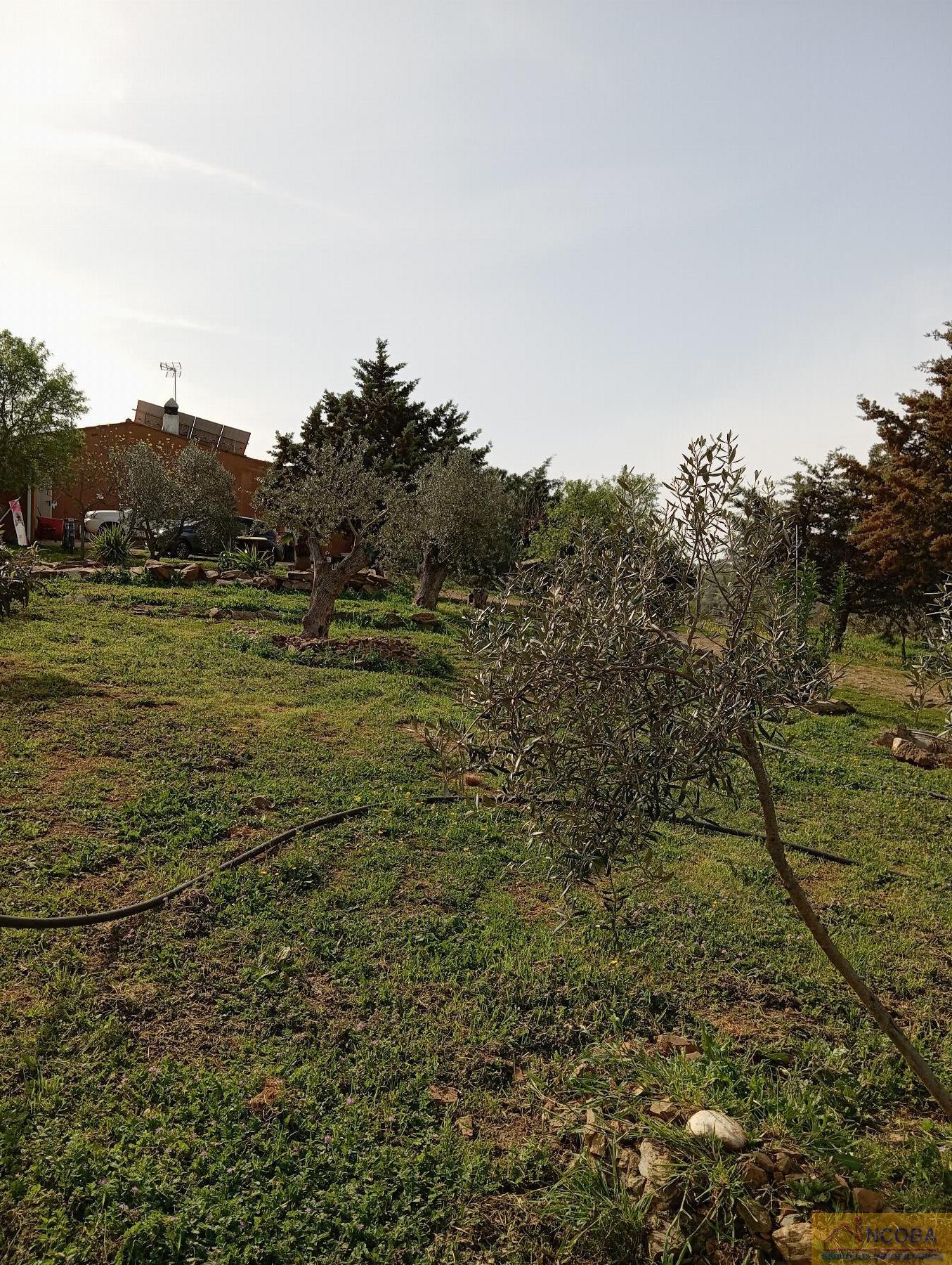 Venta de chalet en Zafra