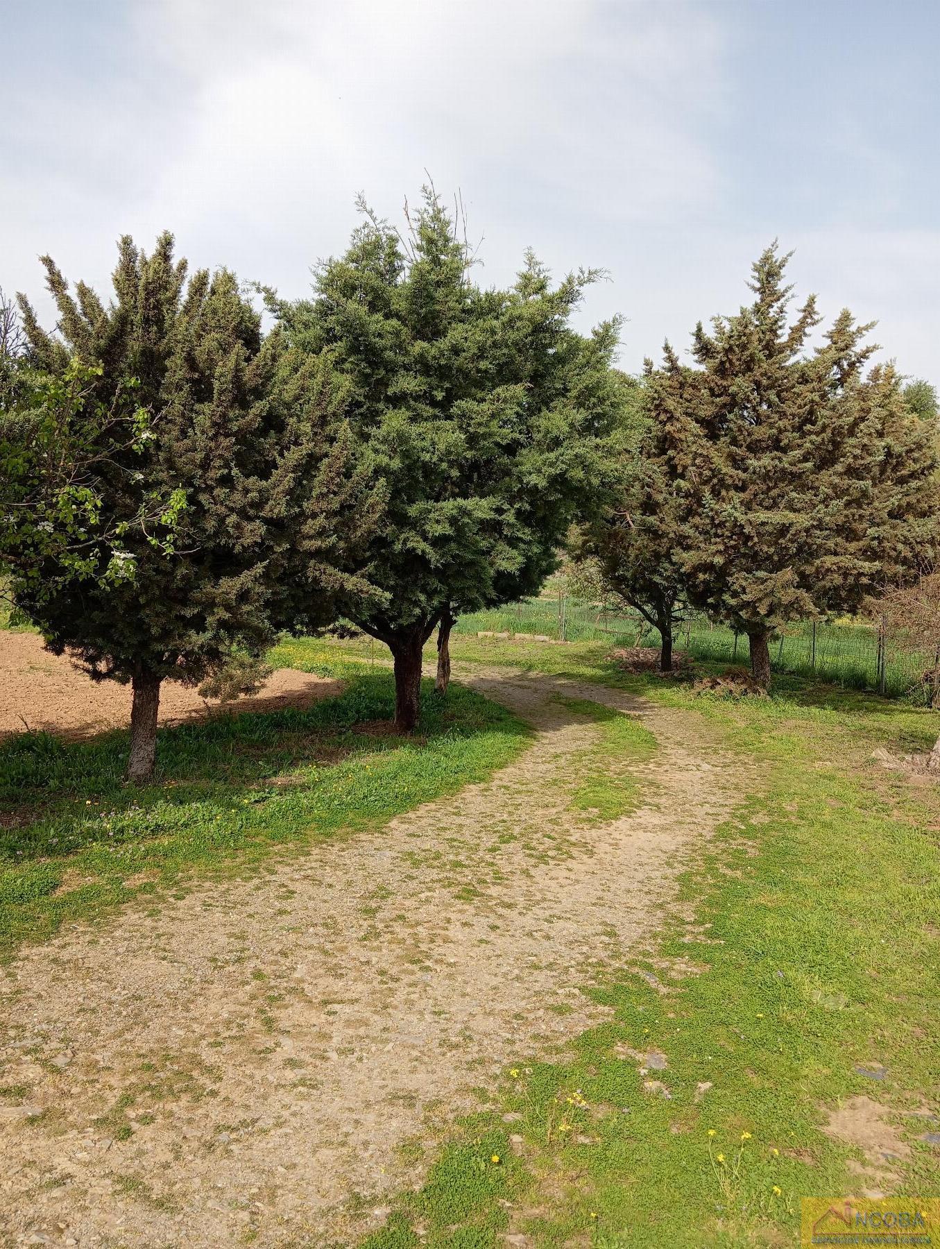 Venta de chalet en Zafra