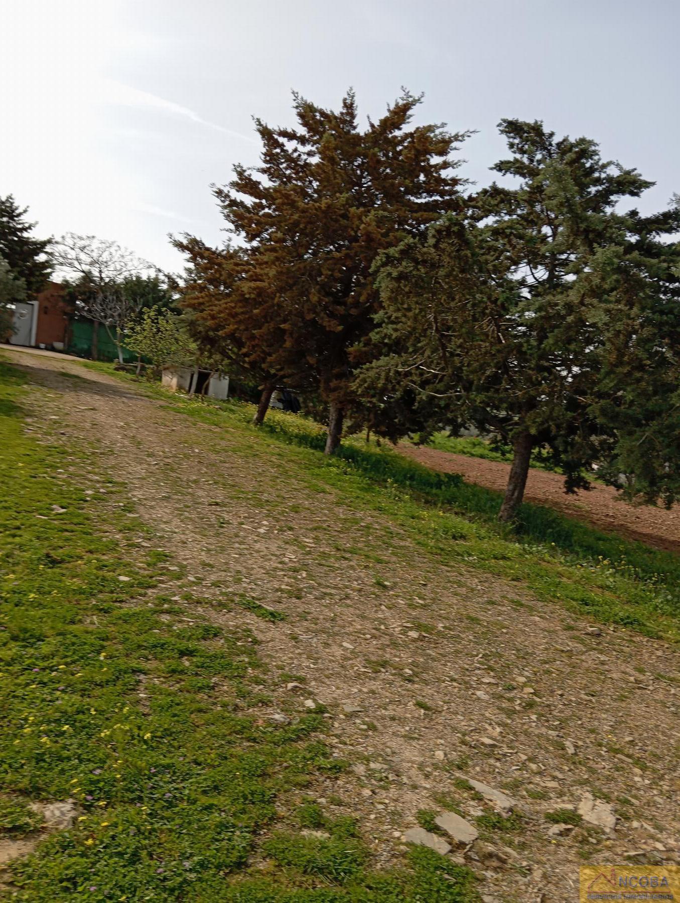 Venta de chalet en Zafra