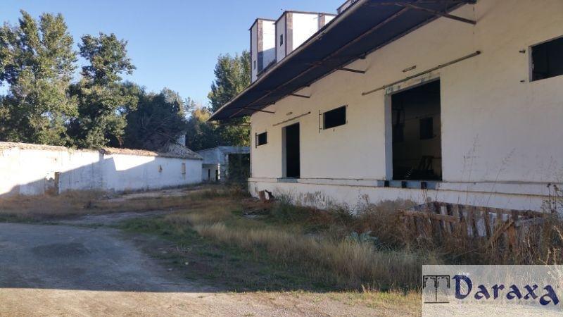 Venta de finca rústica en Iznalloz