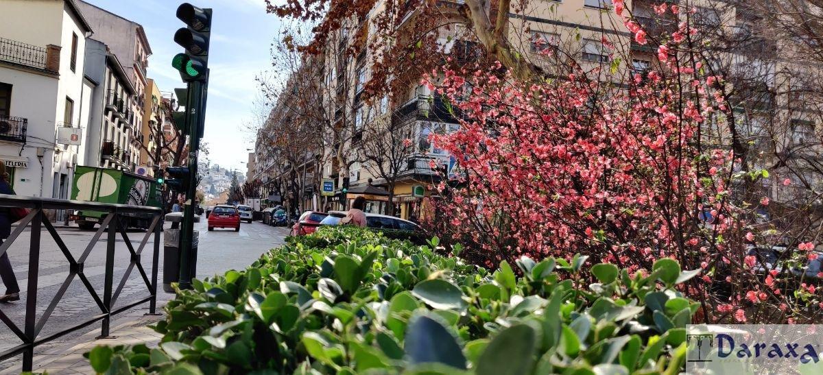 For sale of flat in Granada