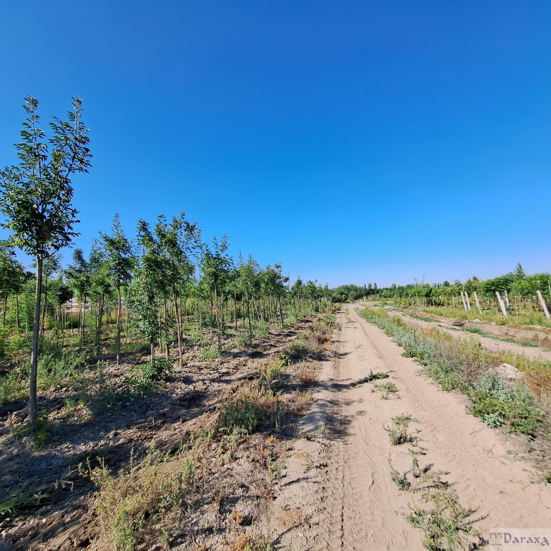 Venta de finca rústica en Granada