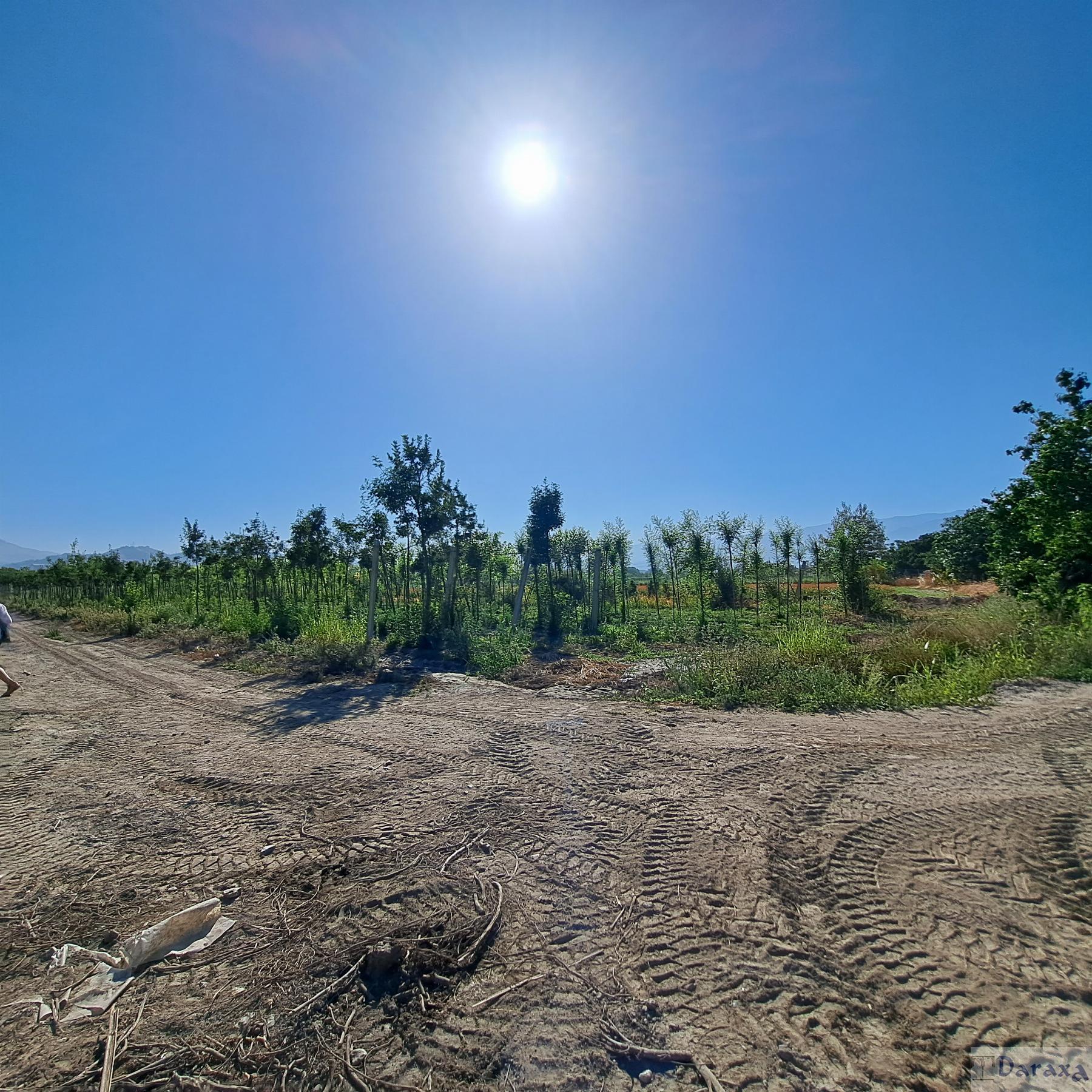 Venta de finca rústica en Granada