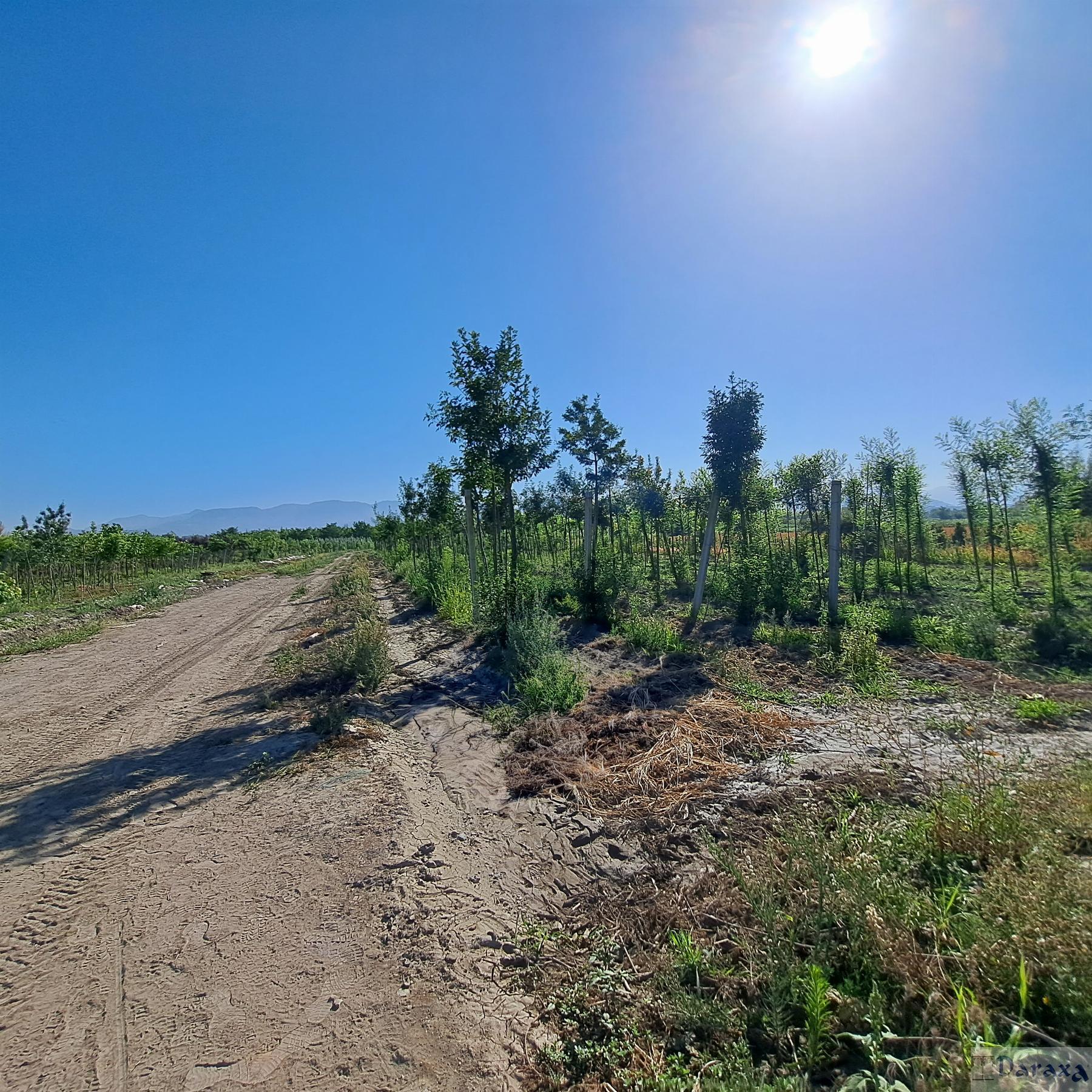 Venta de finca rústica en Granada