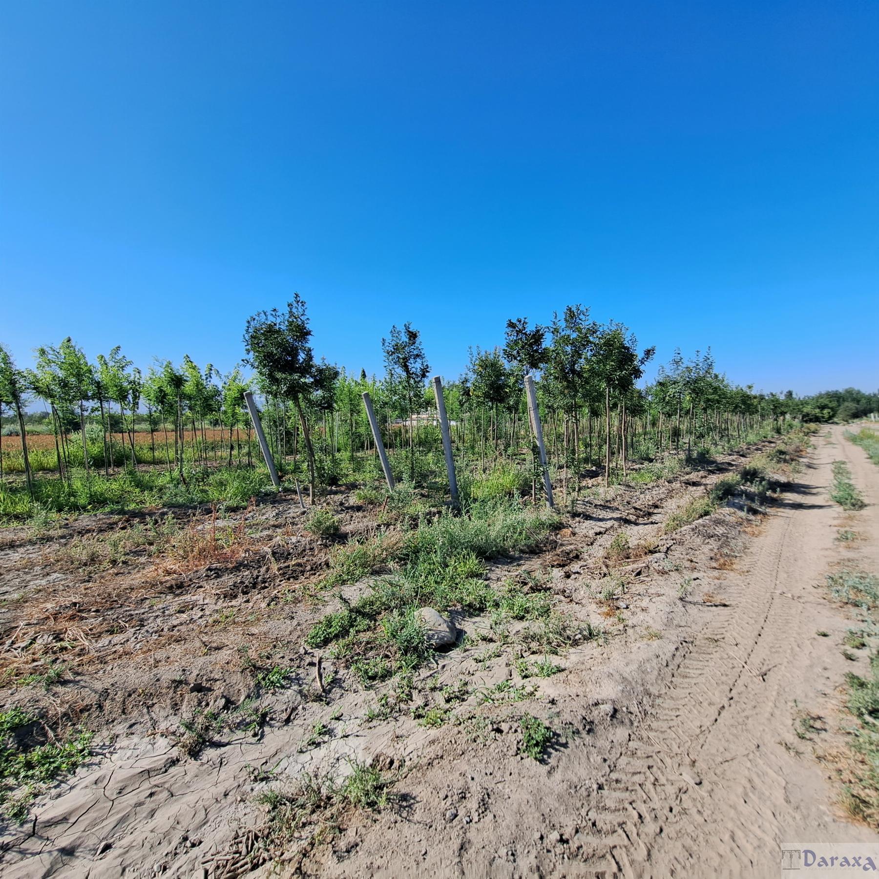 Venta de finca rústica en Granada