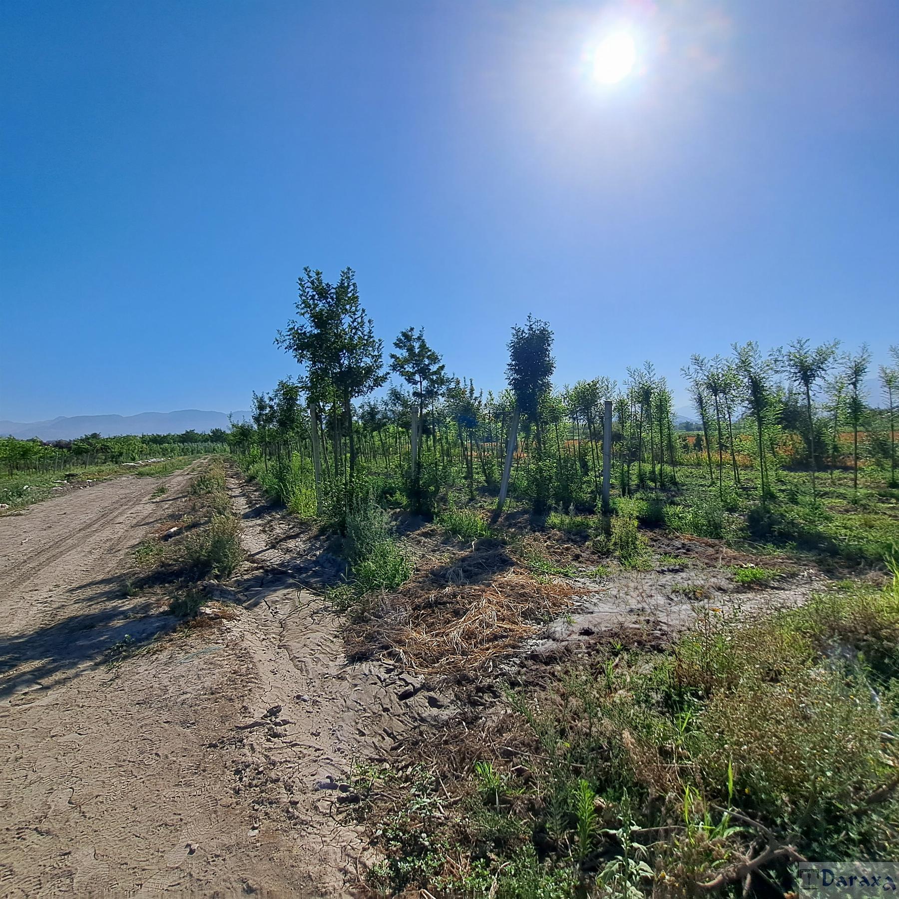 Venta de finca rústica en Granada