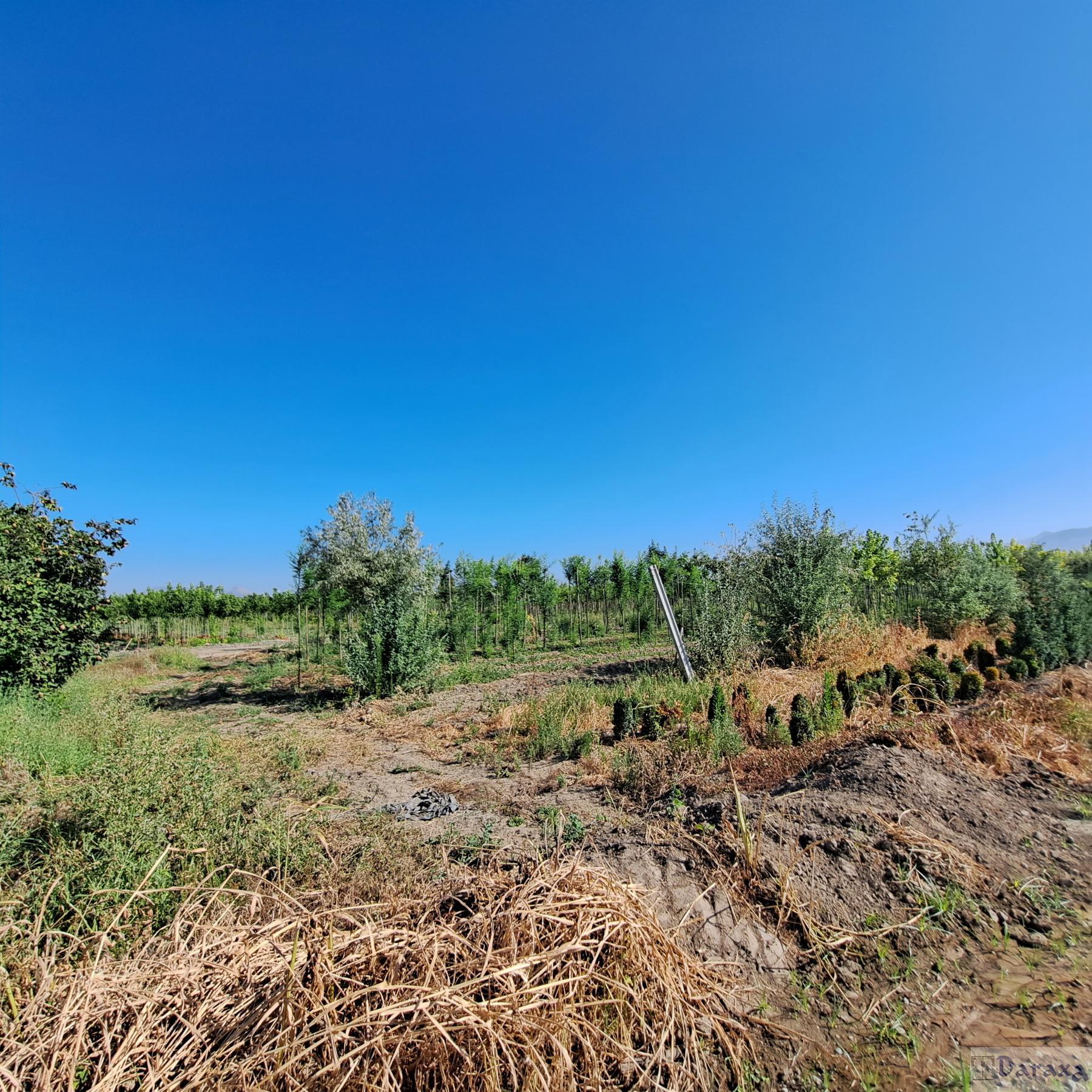 Venta de finca rústica en Granada