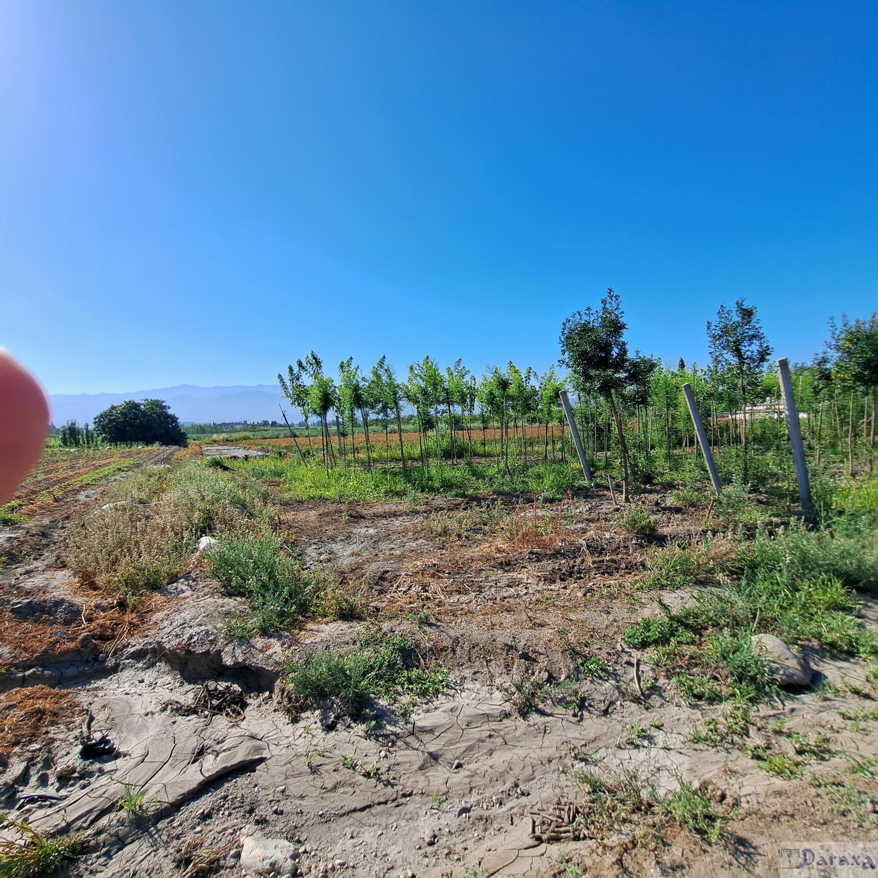 Venta de finca rústica en Granada