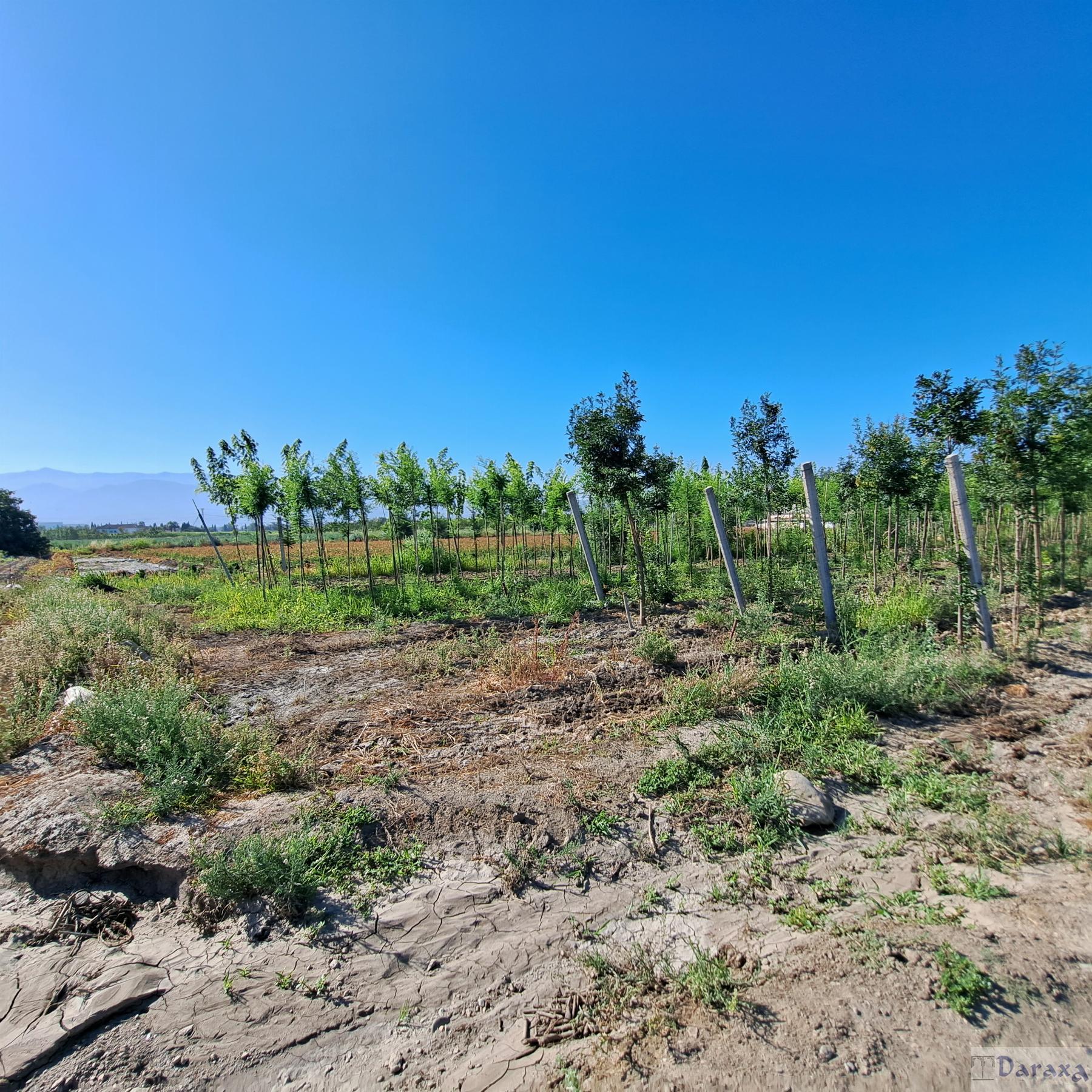 Venta de finca rústica en Granada