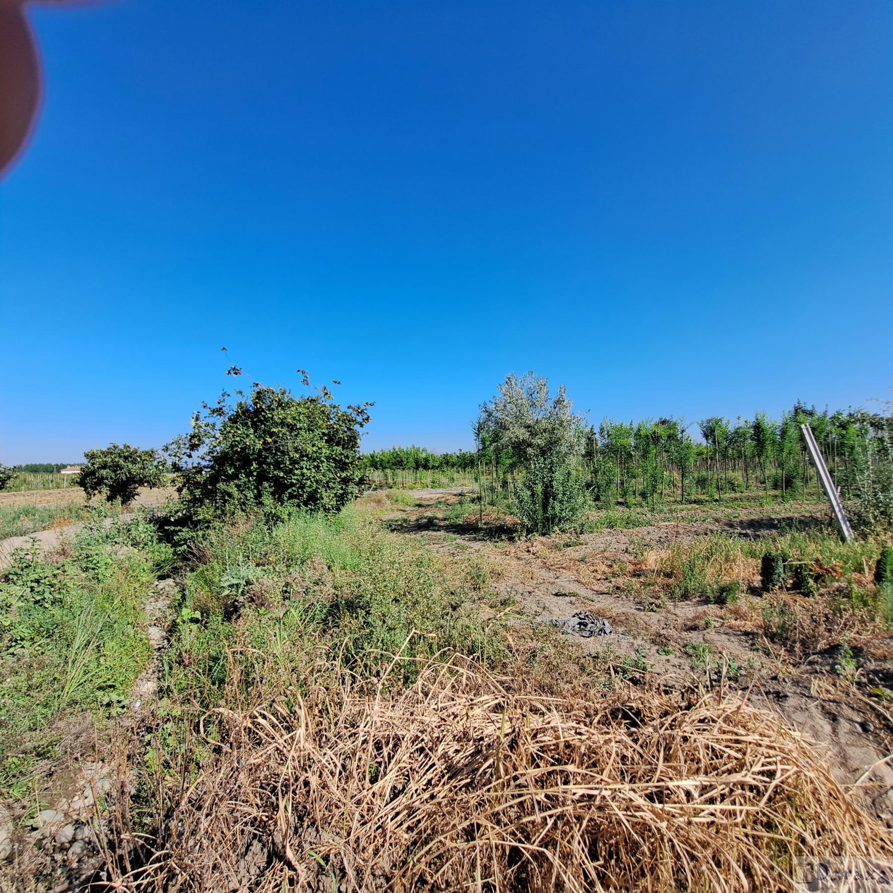 Venta de finca rústica en Granada