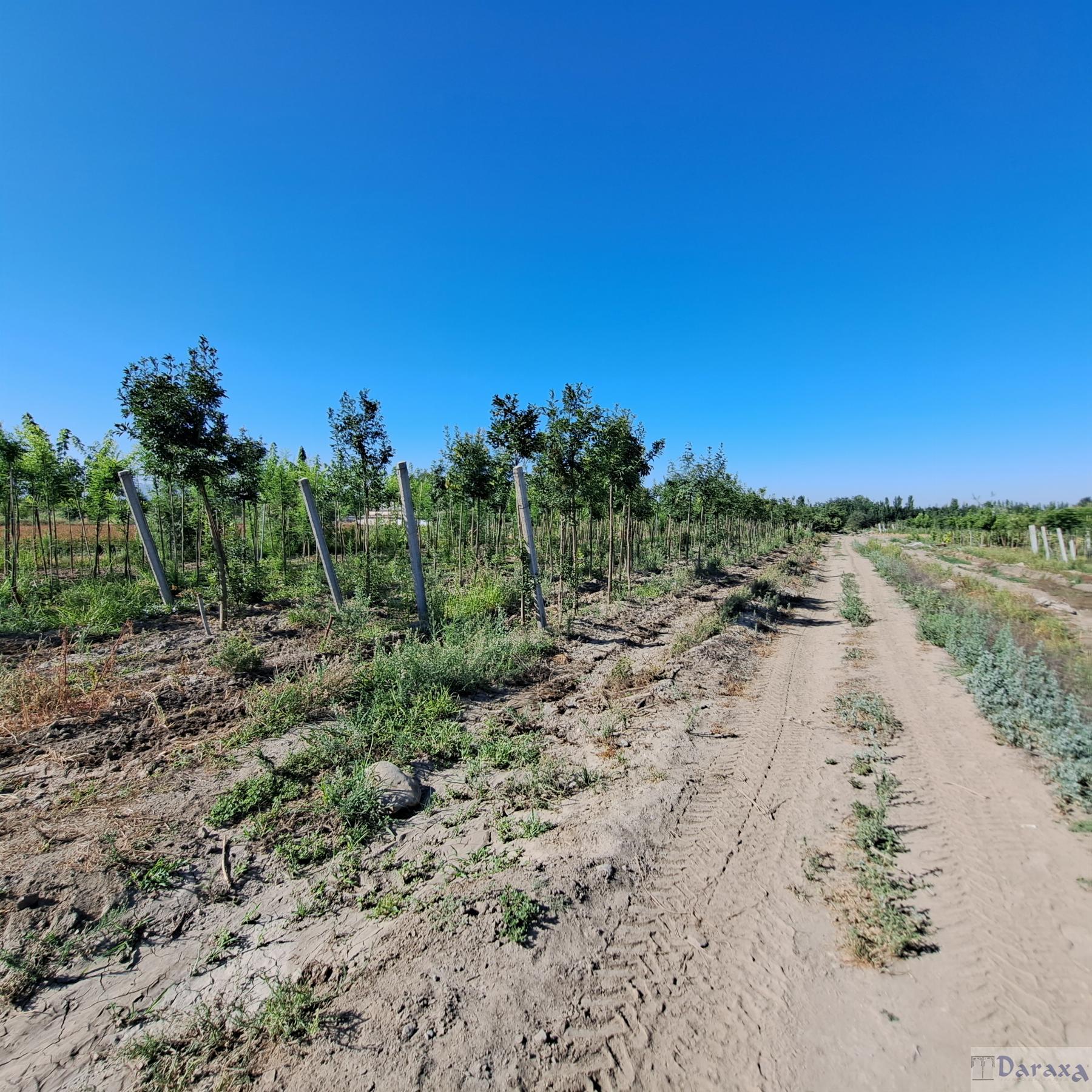 Venta de finca rústica en Granada