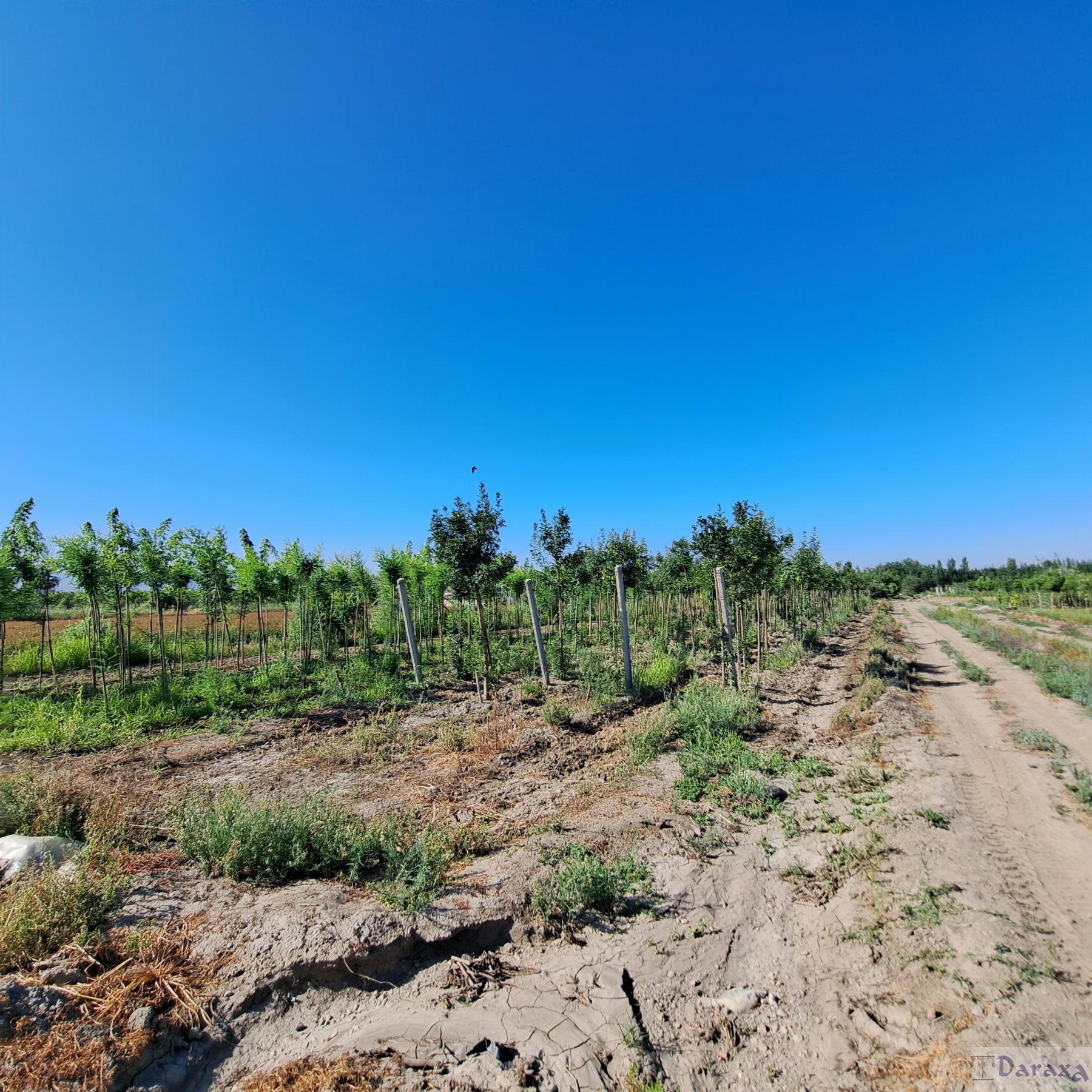 Venta de finca rústica en Granada