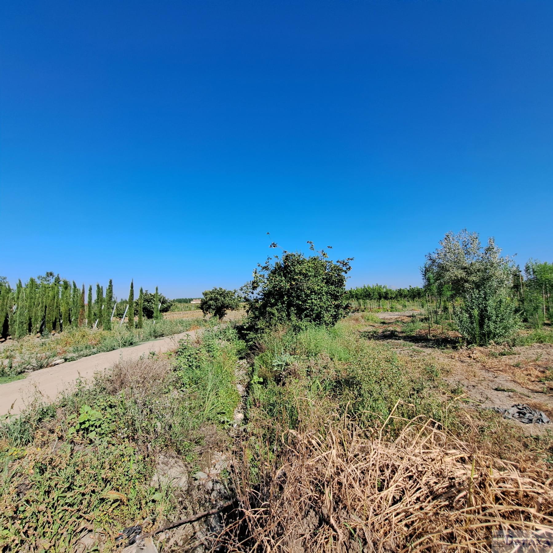 Venta de finca rústica en Granada