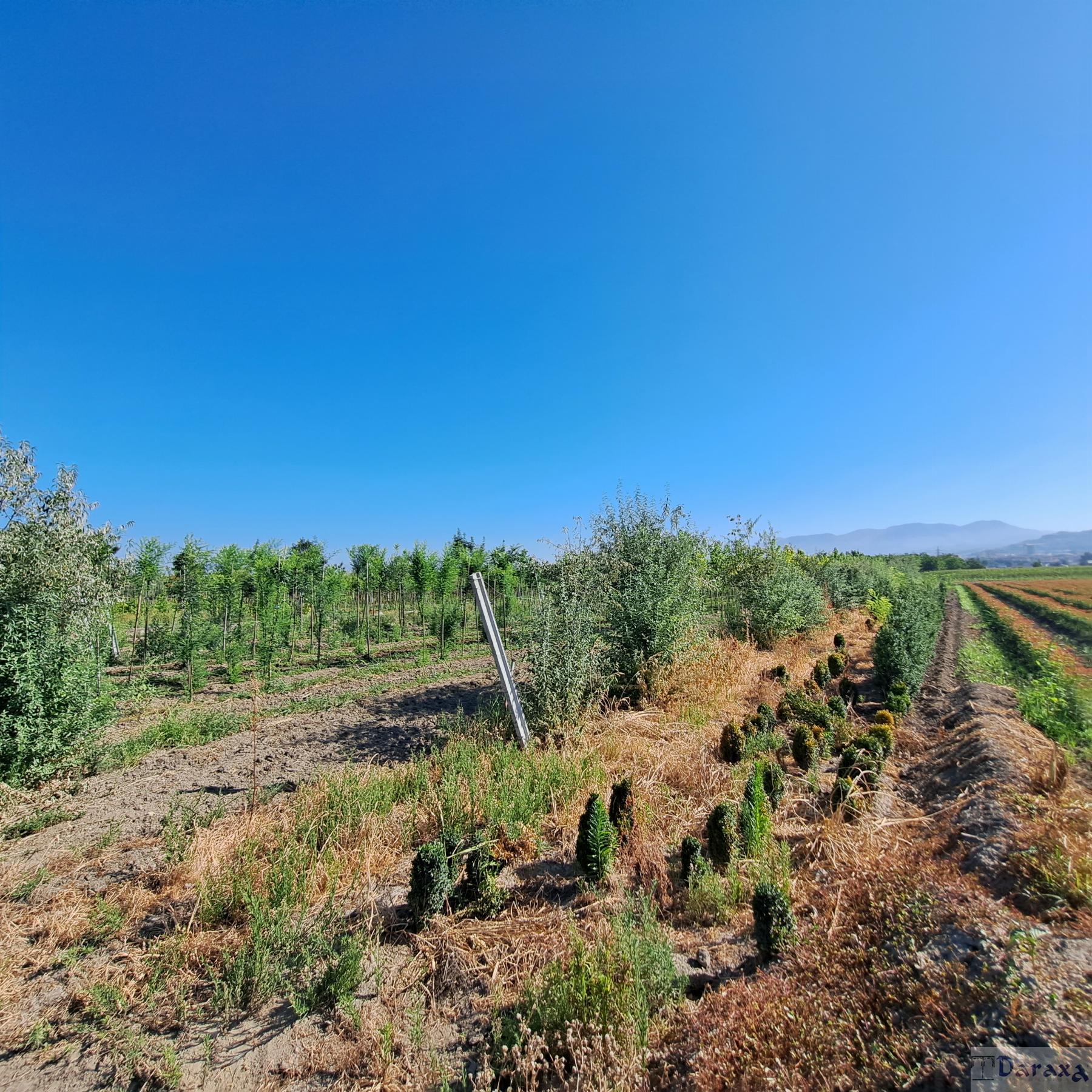 Venta de finca rústica en Granada