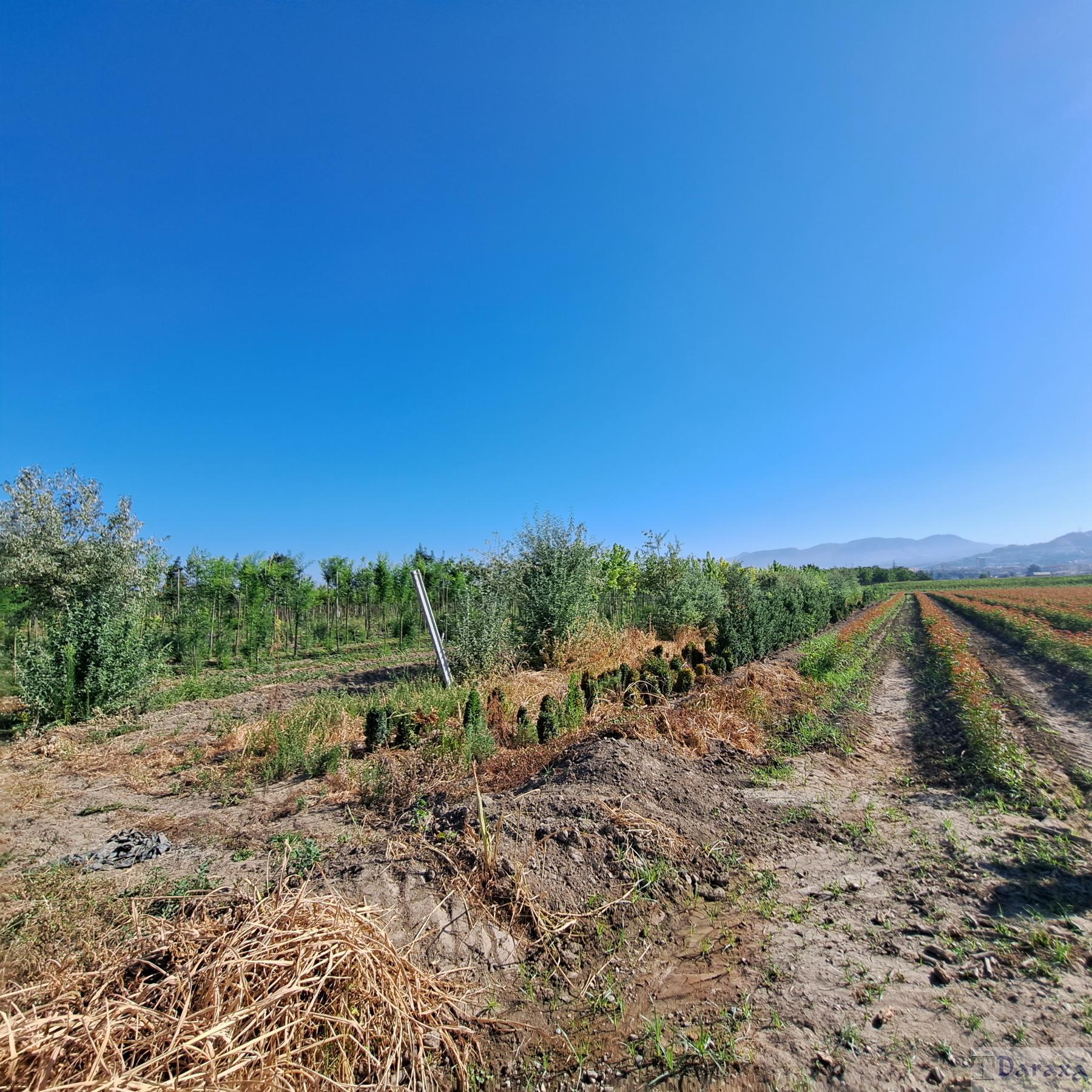 Venta de finca rústica en Granada