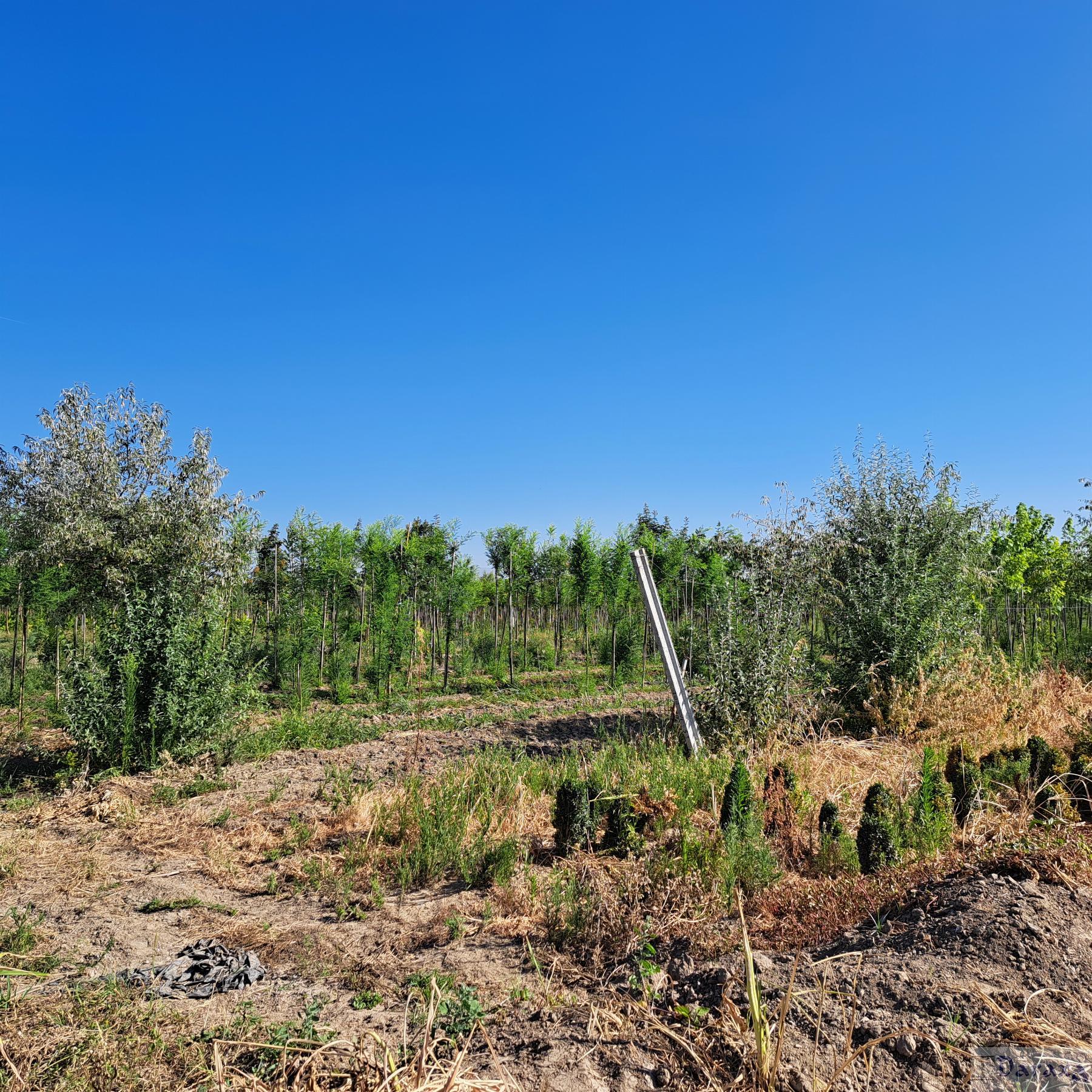 Venta de finca rústica en Granada