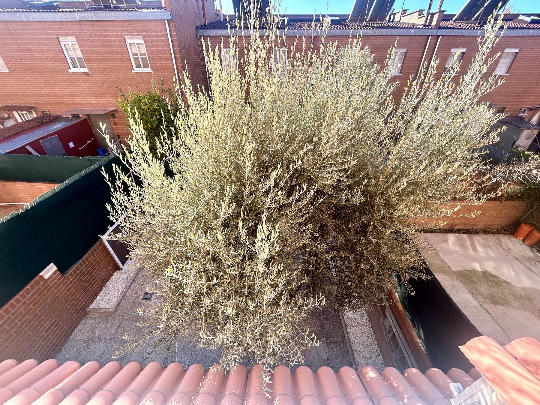 Venta de chalet en Móstoles