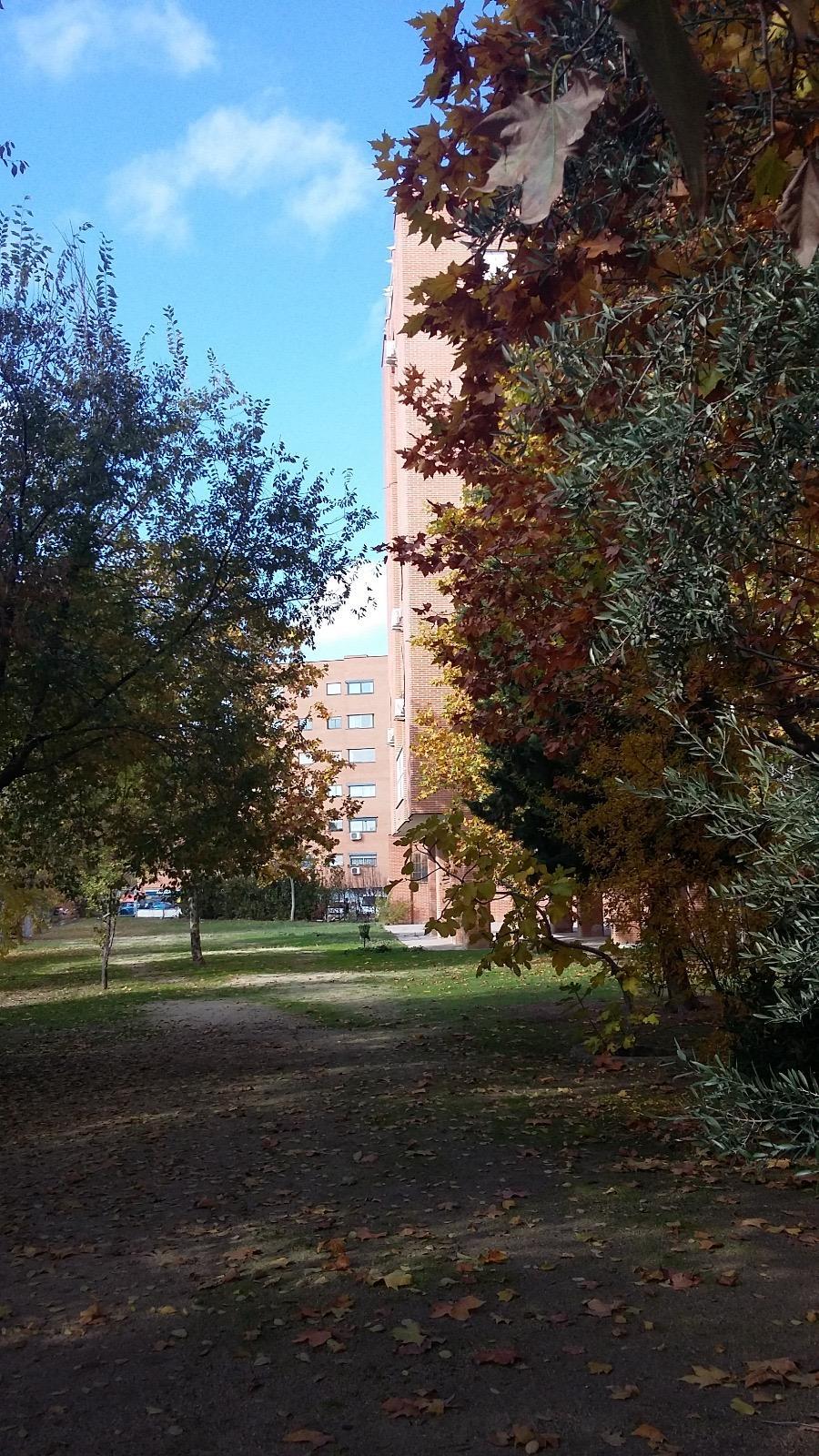 Alquiler de apartamento en Madrid