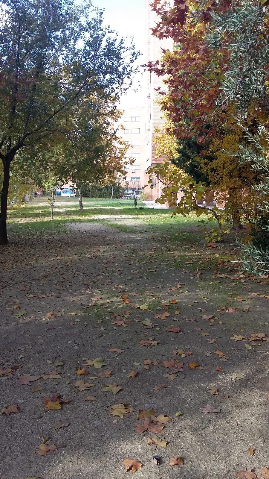 Alquiler de apartamento en Madrid