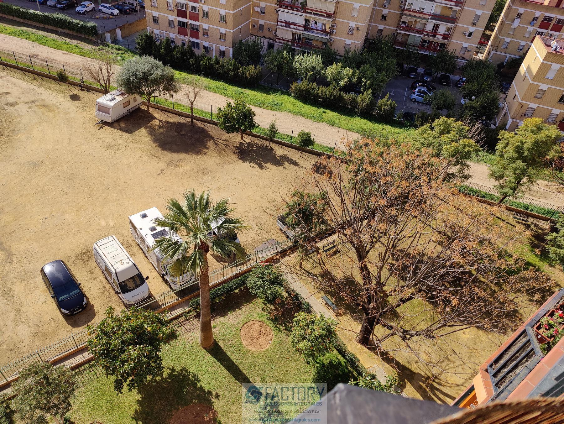 For rent of flat in Sevilla
