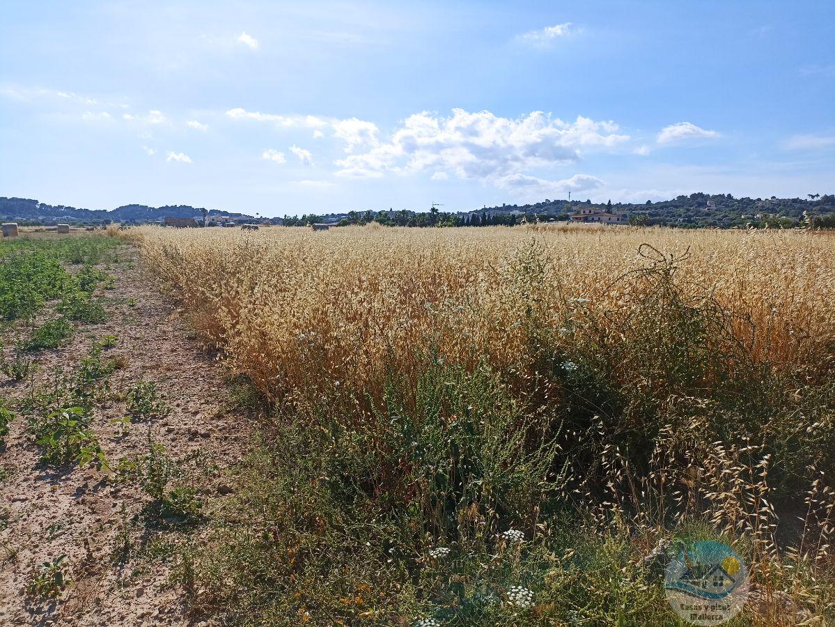 For sale of land in Sant Joan
