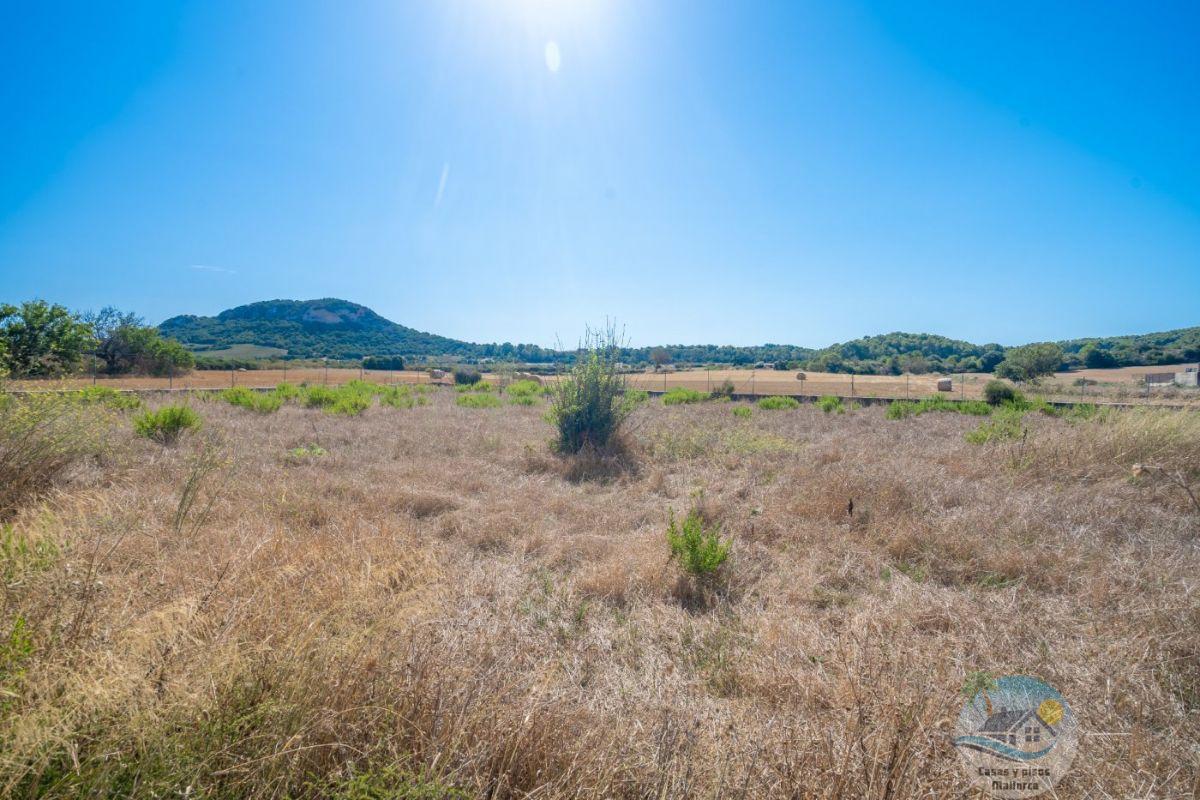 For sale of land in Sant Joan